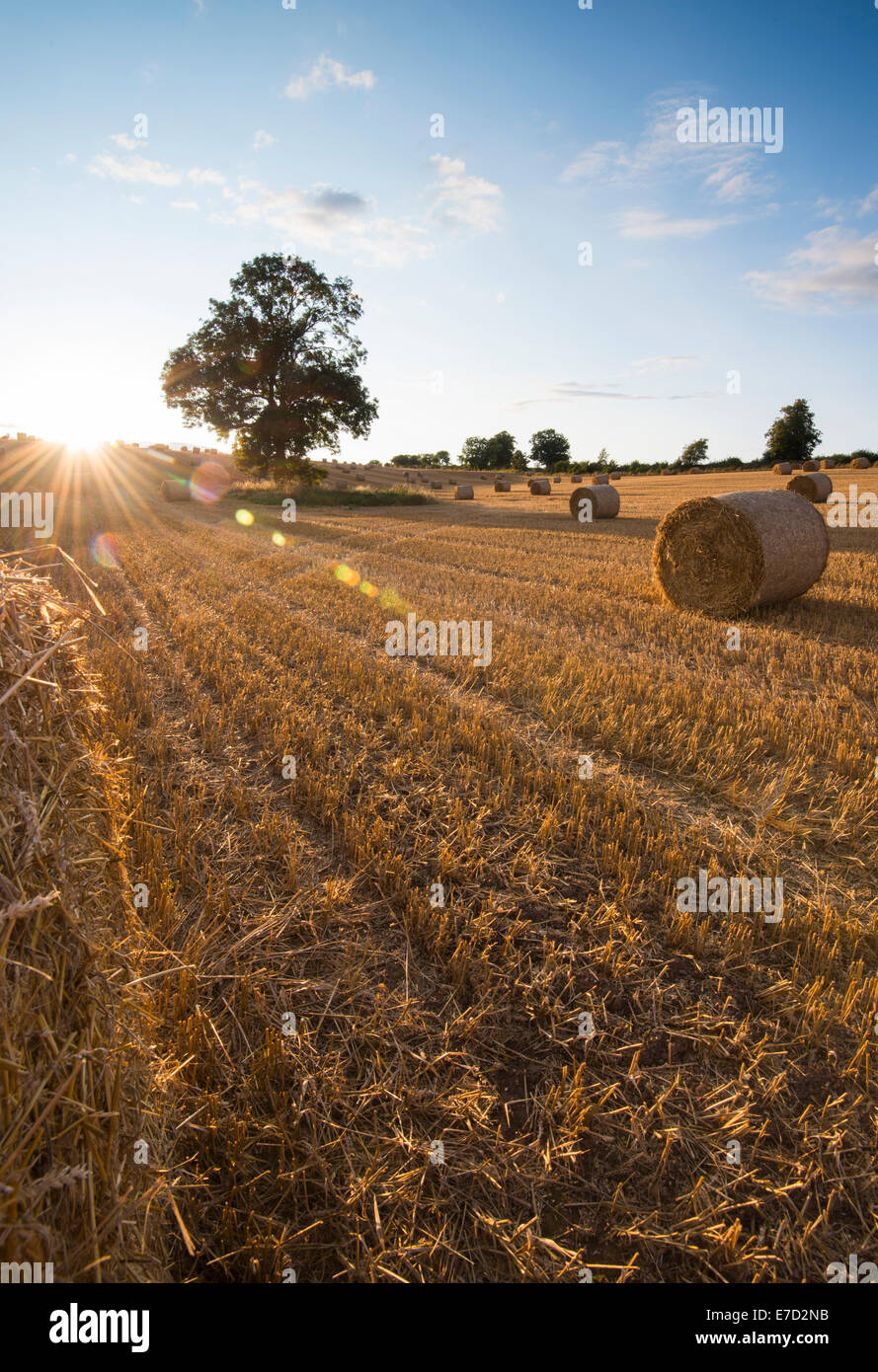 Un soir d'été à Stanton par Dale, Derbyshire, Angleterre, Royaume-Uni Banque D'Images