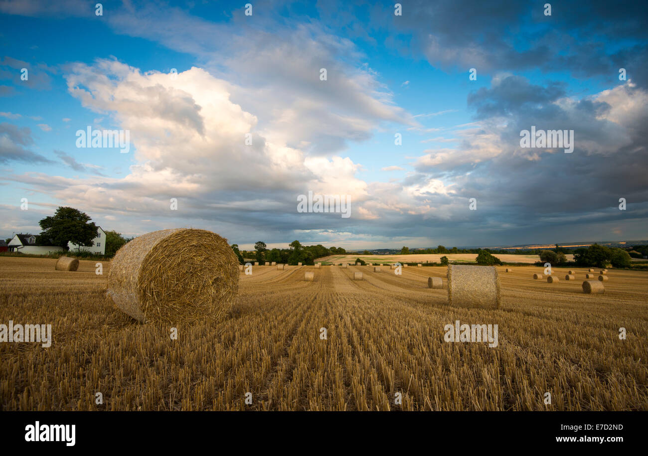 Un soir d'été à Stanton par Dale, Derbyshire, Angleterre, Royaume-Uni Banque D'Images