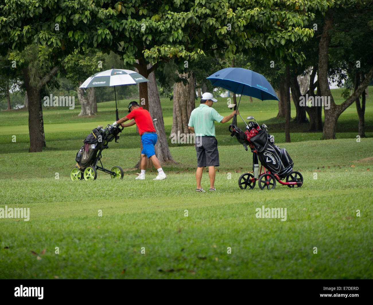 Les membres de l'exclusive Singapour Country Club jouer au golf par Mc Ritchie Reservoir Banque D'Images