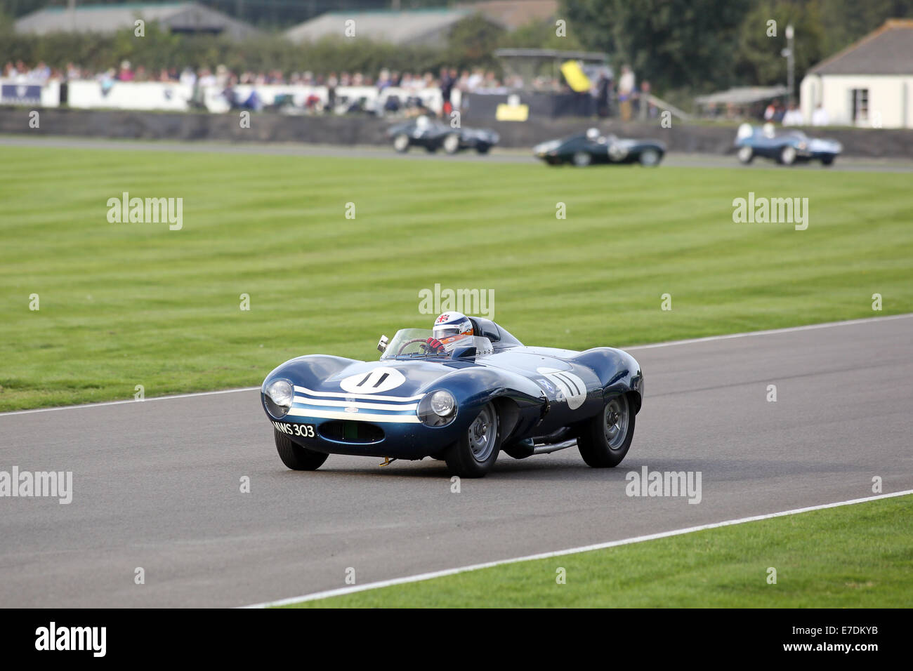 Chichester, West Sussex, UK. 13 Sep, 2014. Photos de la Goodwood Revival 2014 - La Lavant Cup, pour Jaguar D-type pour marquer le 60e anniversaire de l'un des plus célèbres de l'époque des machines. Voitures et a inclus les versions bec long de la D-Type, qui a remporté les 24 Heures du Mans trois ans à compter de 1955-57. Photo : Derek Bell dans un 1956 Jaguar D-Type Credit : Oliver Dixon/Alamy Live News Banque D'Images