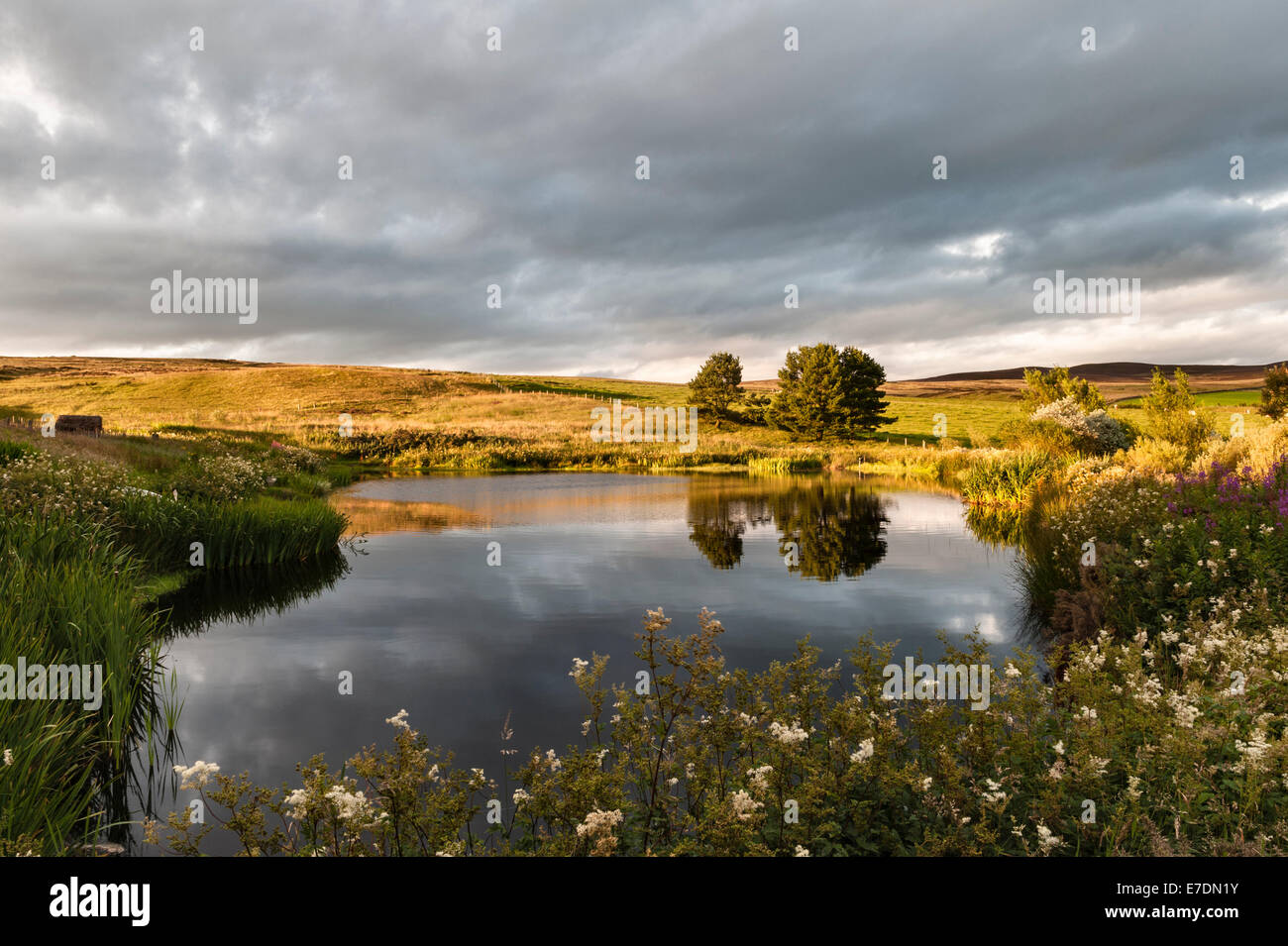 Peu de Sparte, en Écosse. Le jardin créé par l'artiste Ian Hamilton Finlay dans les collines de Pentland. Lochan Eck Banque D'Images