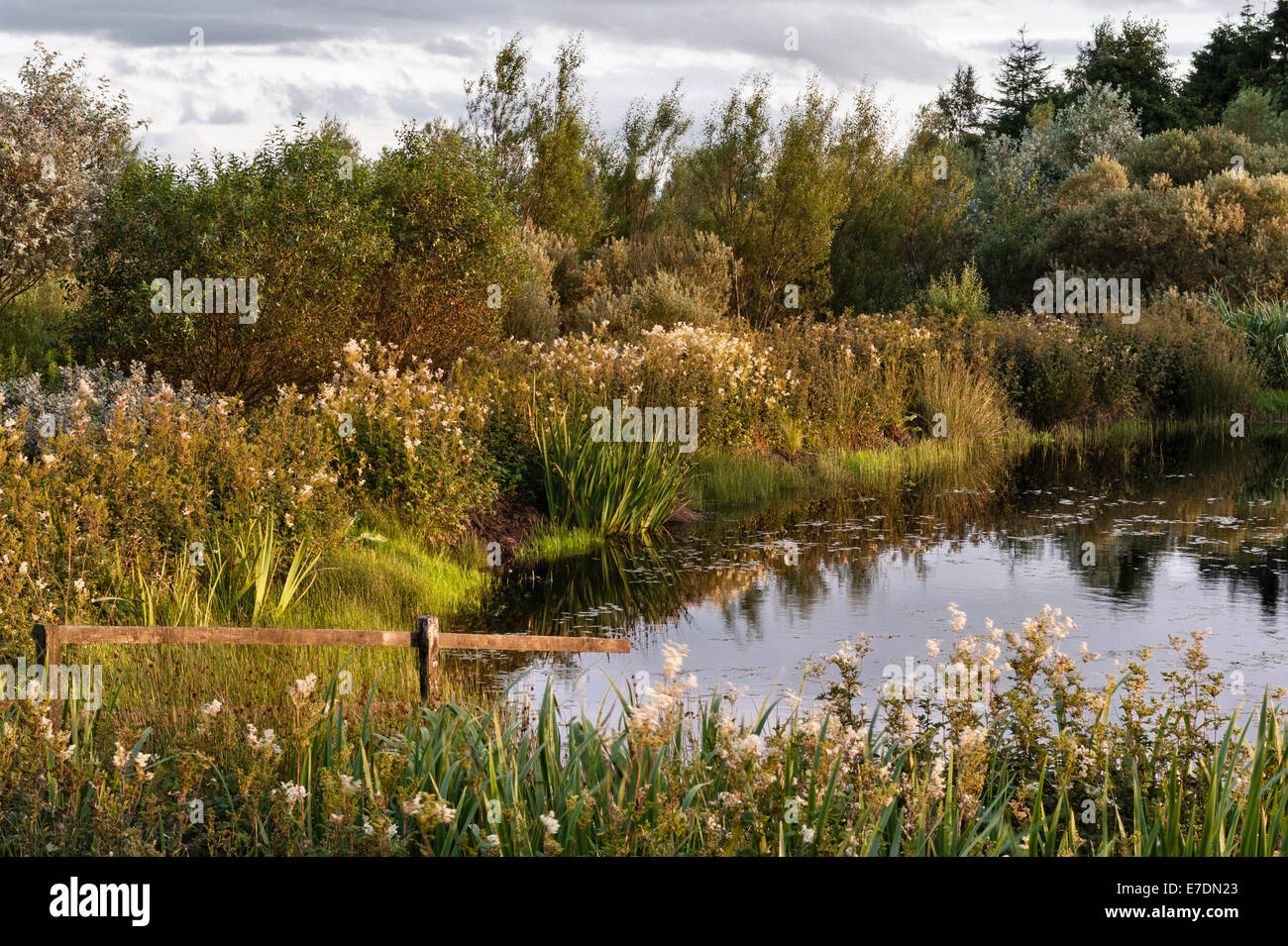 Peu de Sparte, en Écosse. Le jardin créé par l'artiste Ian Hamilton Finlay dans les collines de Pentland. Un coin de Lochan Eck Banque D'Images