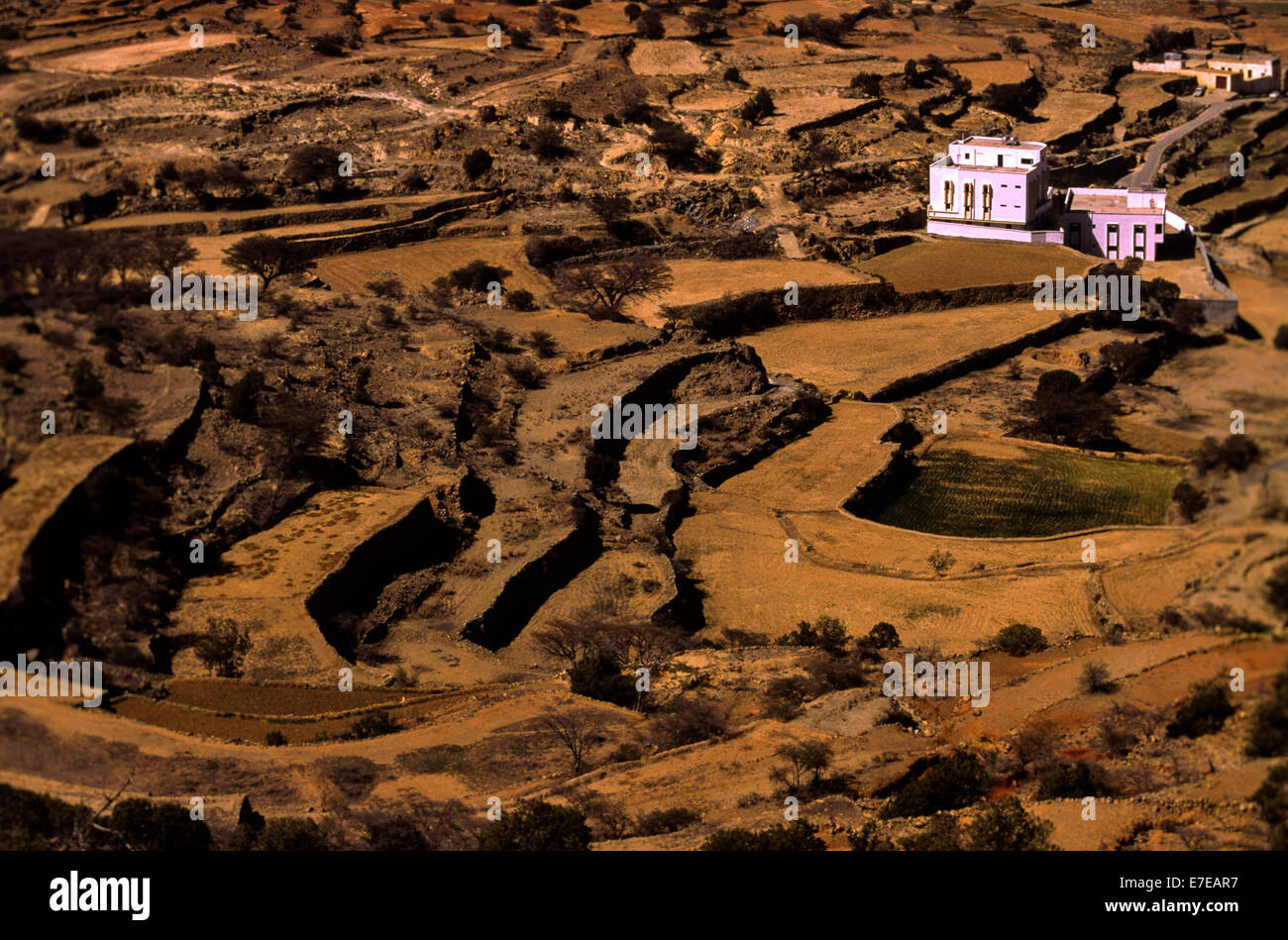 Maisons de ferme et les champs arides de culture en terrasses dans la région de l'ASIR ARABIE SAOUDITE Banque D'Images