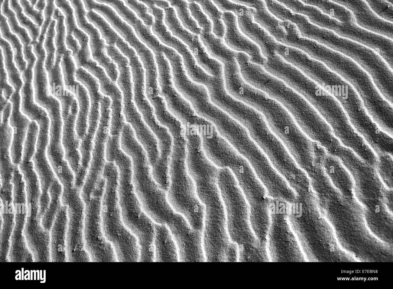 Les lignes de contour sur une plage de sable fin Banque D'Images