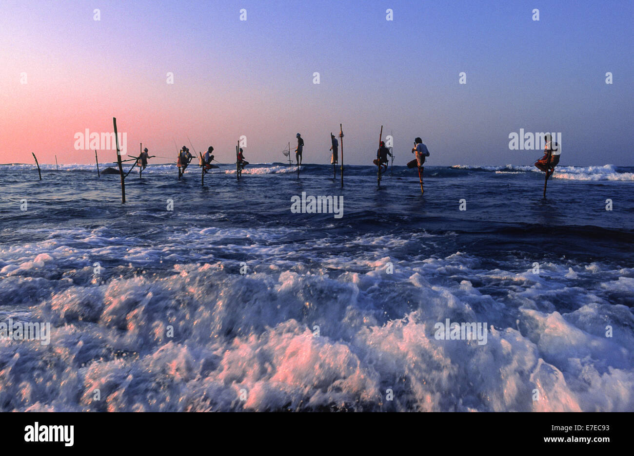 Pêcheurs sur pilotis au lever du soleil et l'AUBE TEINTÉE ROSE VAGUES AU SRI LANKA Banque D'Images