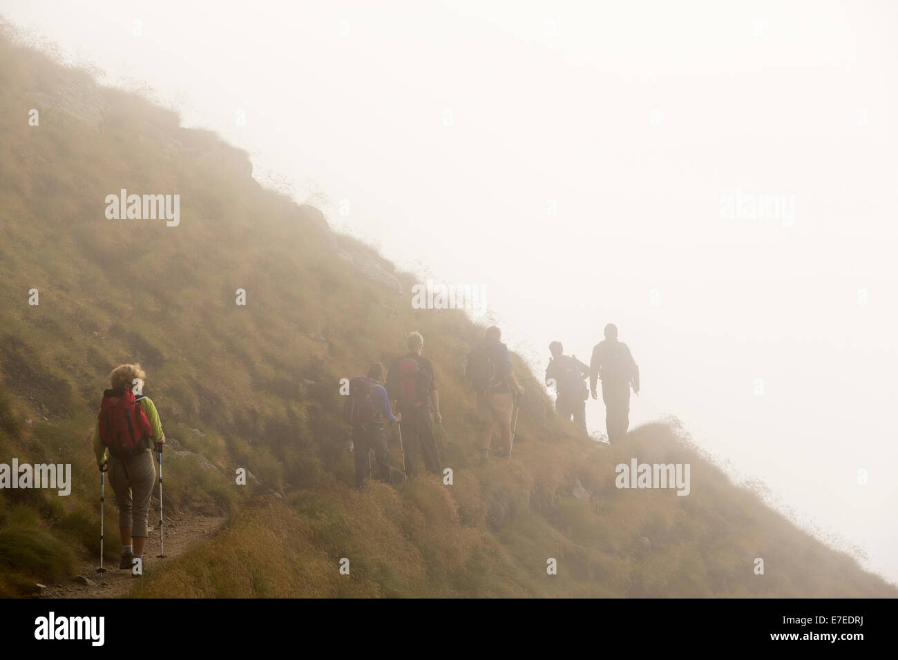 Un groupe de marche faisant le tour du Mont Blanc près de Cabanne d'Orny dans les Alpes suisses. Banque D'Images