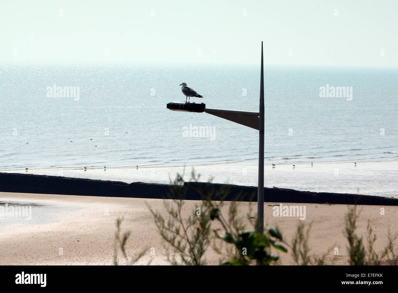Clacton-on-Sea est la plus grande ville de la péninsule de Tendring et de district dans l'Essex, en Angleterre, et a été fondée en 1871 Banque D'Images