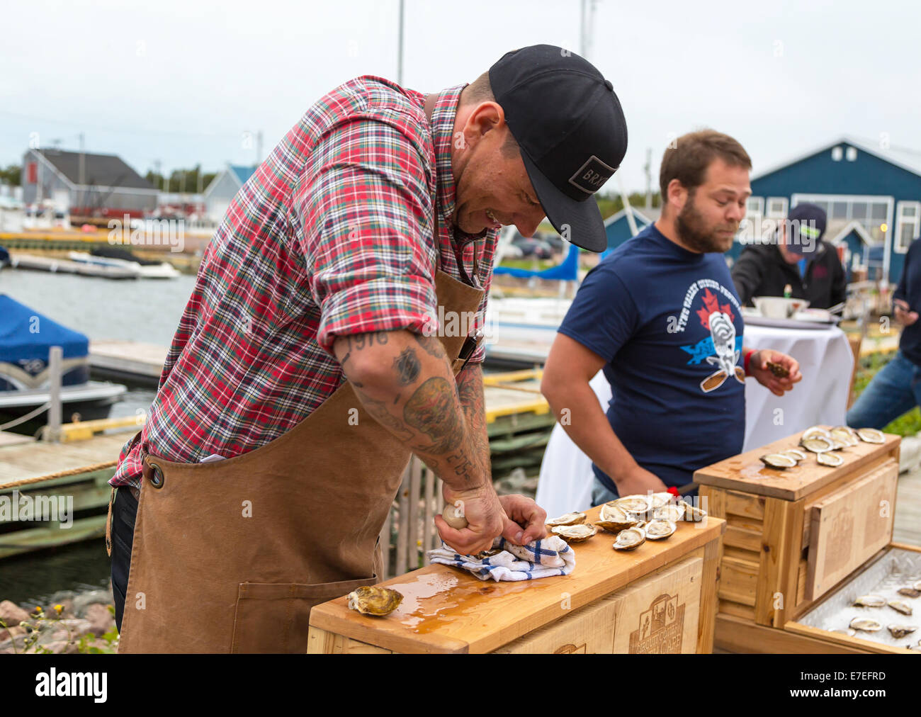 Alberton, Ile du Prince-Édouard, Canada. 13 Sep, 2014. Le célèbre chef Chuck Hughes à l'automne Festival des Saveurs le 13 septembre, 2014 sur la Northport Pier à Alberton, Ile du Prince-Édouard, Canada. Les huîtres dans la jetée a fait partie de l'événement festival et hébergé par Hughes pour présenter les huîtres et l'île de produits alimentaires régionaux. Credit : Verena Matthieu/Alamy Live News Banque D'Images