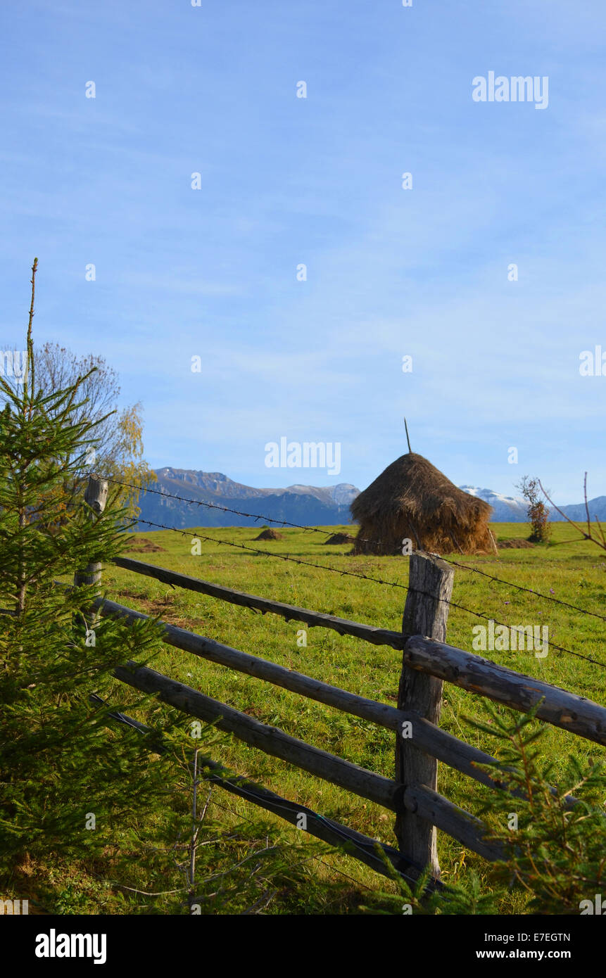 Campagne Près de Bran dans la région de Transylvanie en Roumanie Banque D'Images