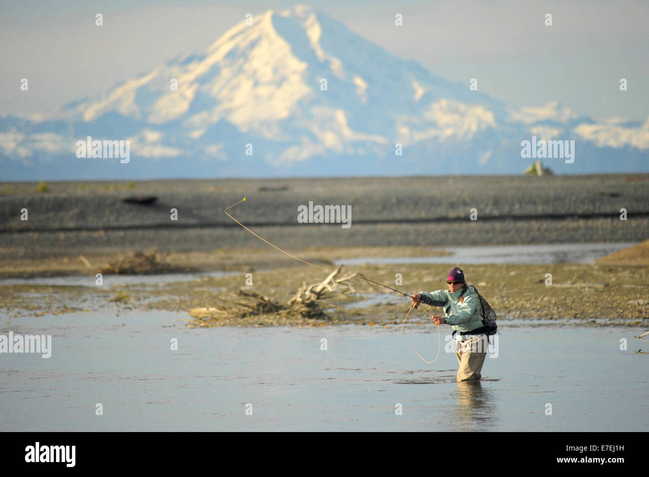 Femme jette pour truites sauvages sur Deep Creek sur l'ouest de la Péninsule Kenai, Alaska Septembre 2009. S'écoulant dans Cook Inlet au nord d'Homère, les eaux de Deep Creek et la rivière d'accueillir la fin de l'automne s'exécute de truites sauvages. Le volcan du mont Redoubt en arrière-plan. Banque D'Images