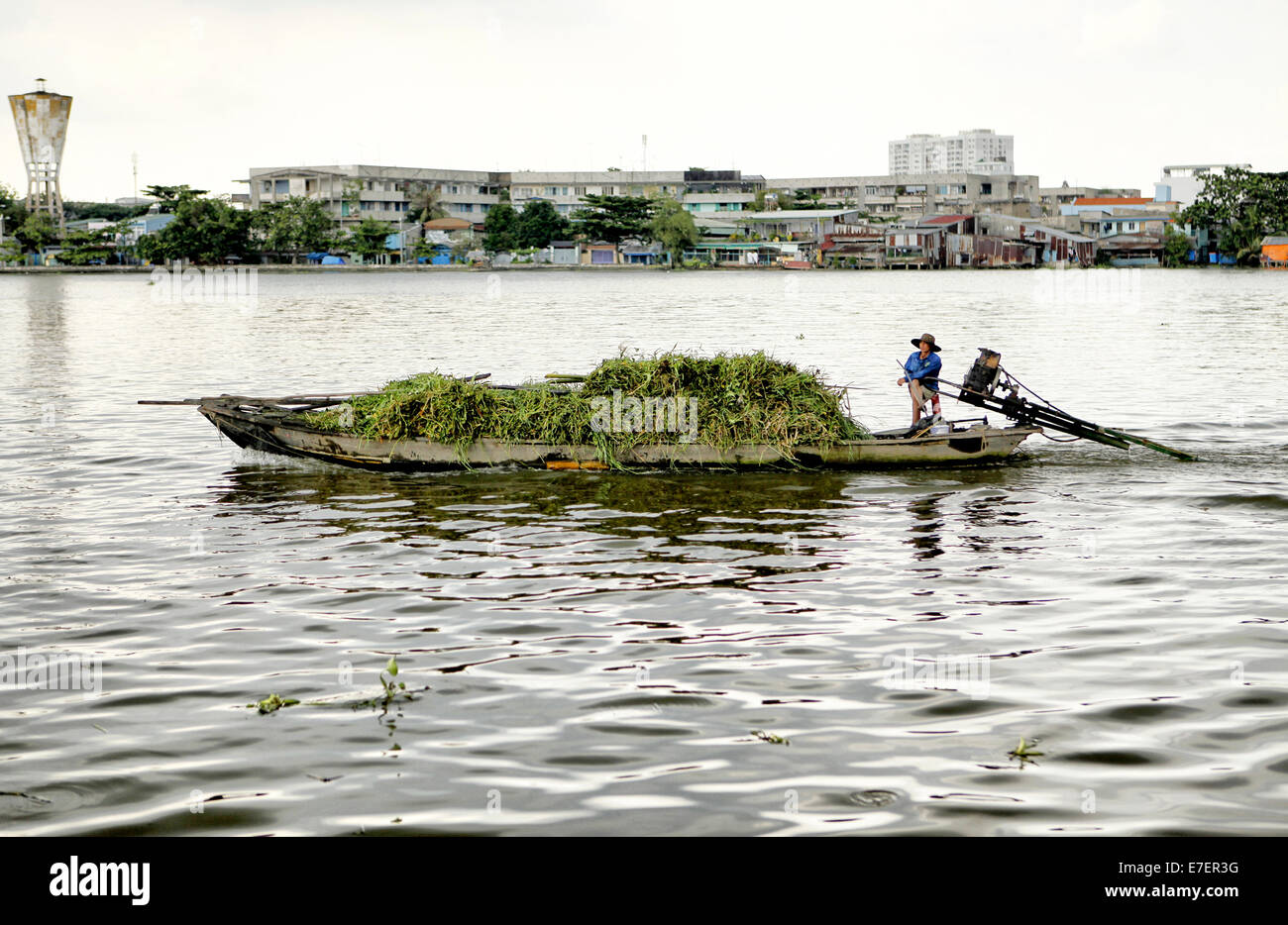 L'homme et de l'herbe locale Vietnam bateau de blocage sur la rivière Saigon, Ho Chi Minh Ville, Delta du Mékong, Saigon, Vietnam. Banque D'Images