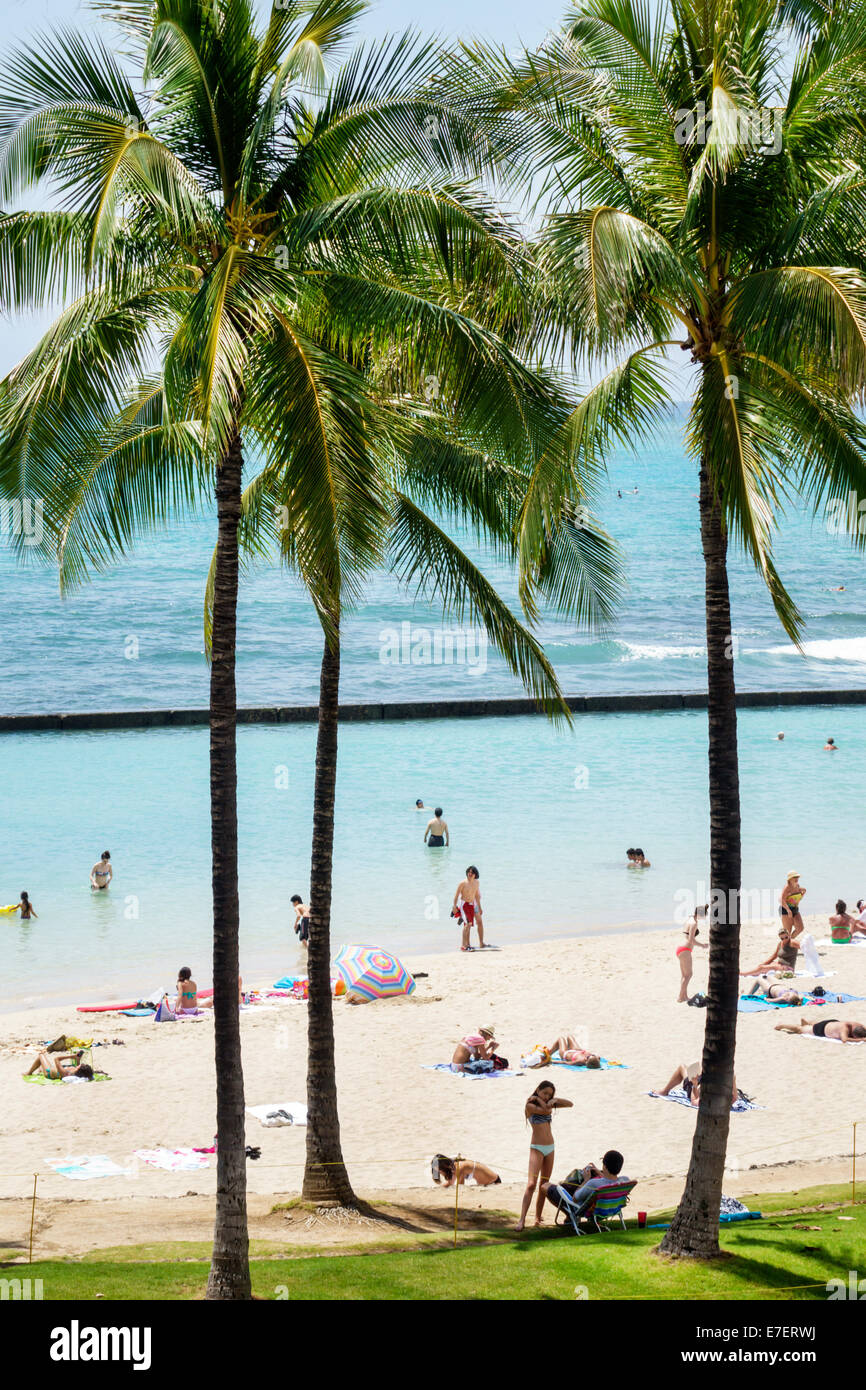 Honolulu Waikiki Beach Hawaii,Hawaiian,Oahu,Kuhio Beach Park,Océan Pacifique,palmiers,baigneurs de soleil,USA,Etats-Unis,Etats-Unis,Polynésie américaine,HI140328021 Banque D'Images