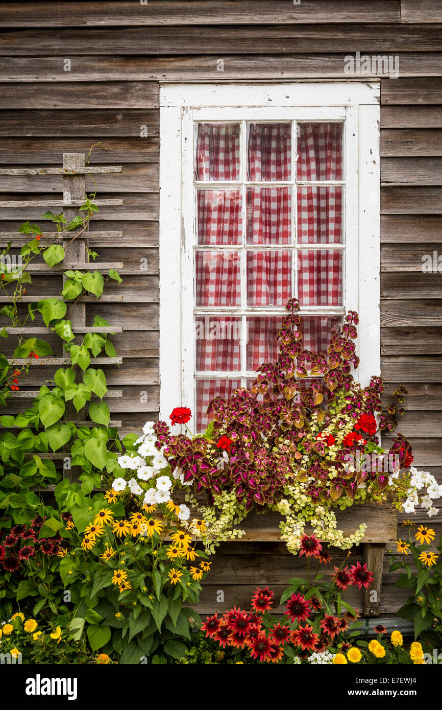 La fenêtre d'un chalet avec fleurs décoratives à la Little Red Wagon shop dans l'Amana Colonies, Iowa, États-Unis. Banque D'Images