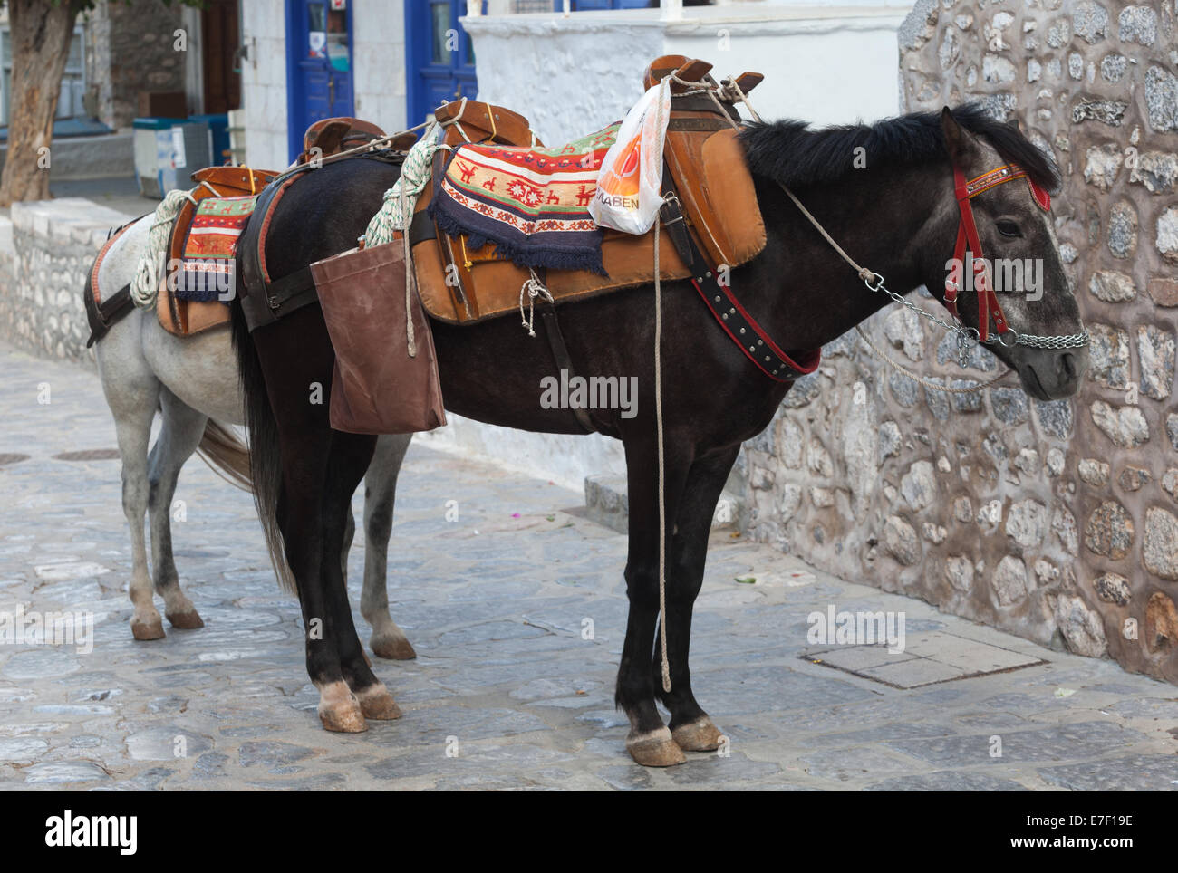 Les ânes de travail (ou mulets) sur Hydra, où une interdiction sur les véhicules à moteur les a laissés comme la principale forme de transport. Banque D'Images