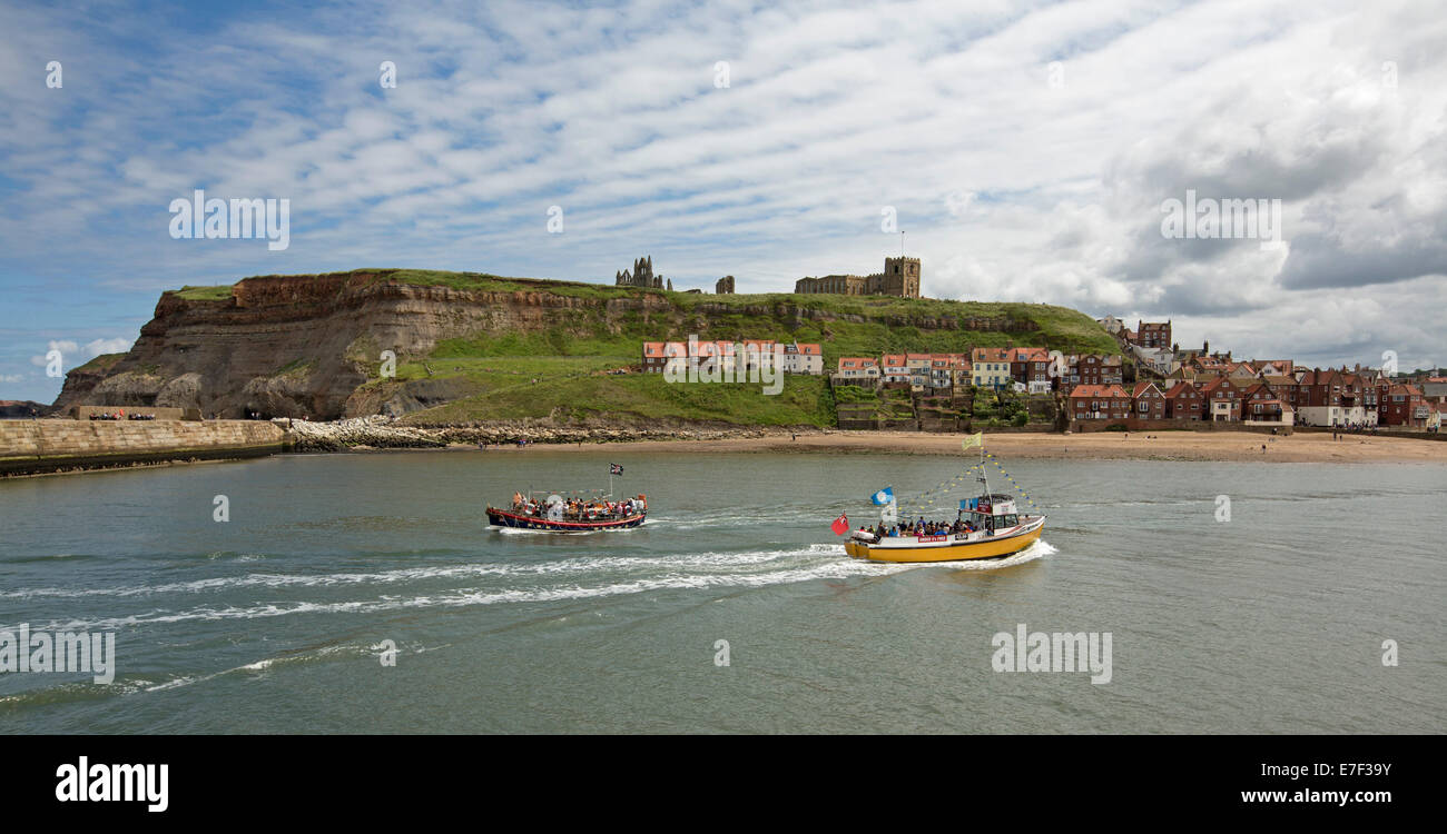 Deux bateaux d'excursion en prenant les passagers en croisière de Whitby Harbour Ville de bâtiments anciens et les ruines de l'abbaye sur InYorkshire grassy hill, en Angleterre. Banque D'Images