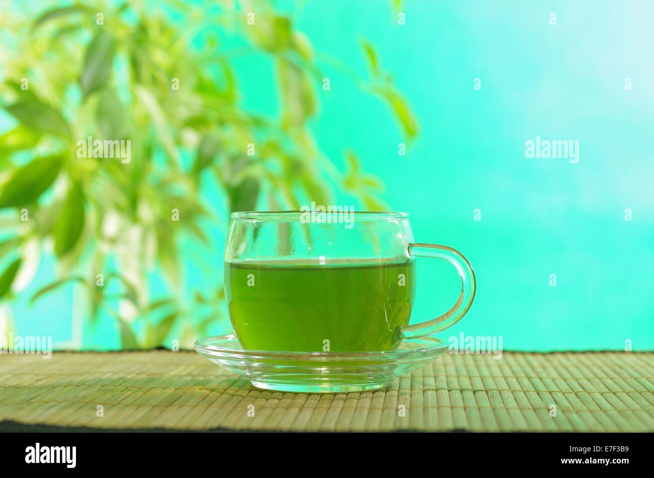 Dans la tasse de thé vert sur fond des plantes Banque D'Images