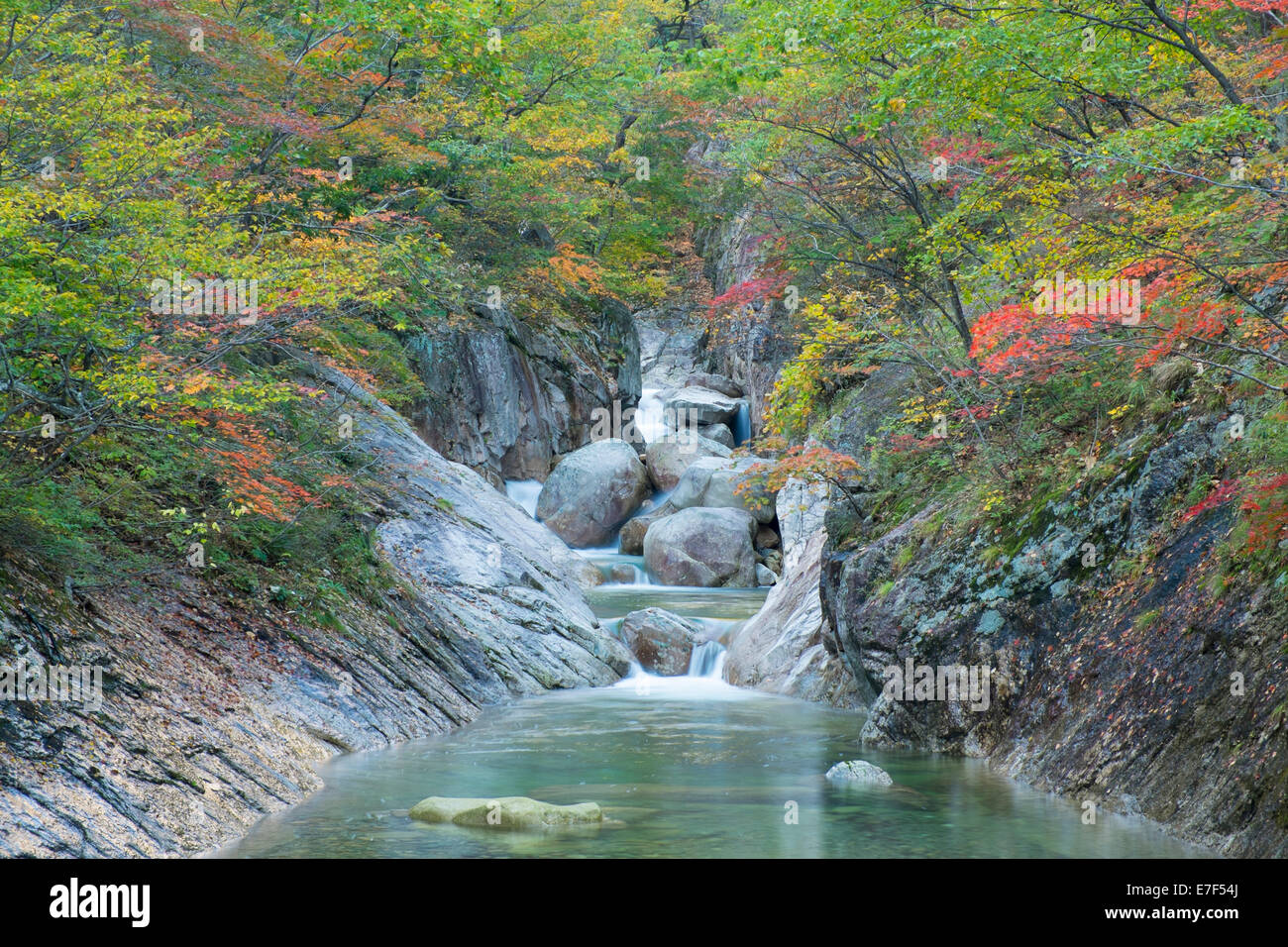 Ruisseau de montagne dans le Parc National de Seoraksan, avec feuillage de l'automne, Solcho, Corée du Sud Banque D'Images