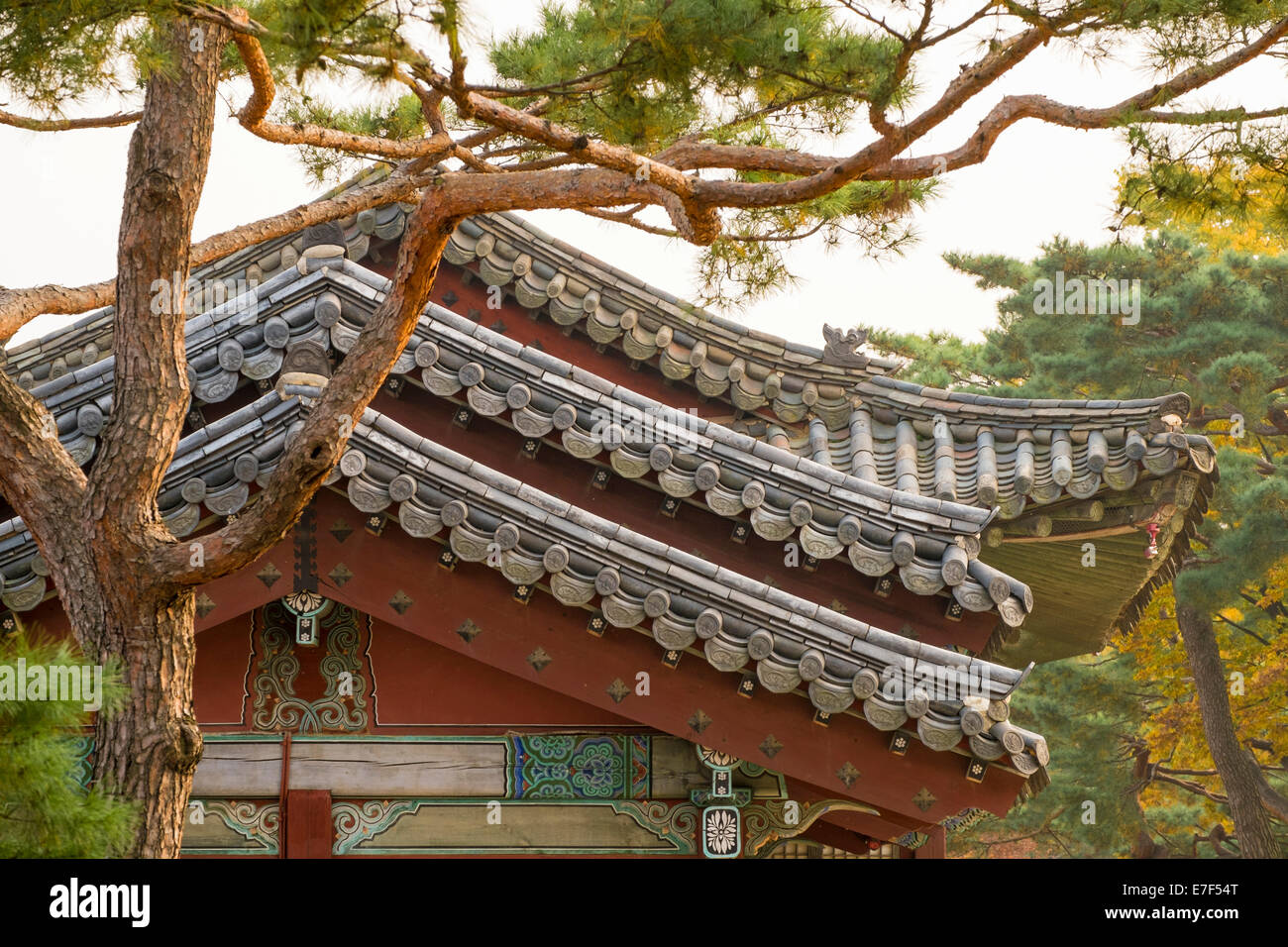 Les toits du temple et de pins dans la lumière du soir, Palais Changgyeonggung, Séoul, Corée du Sud Banque D'Images