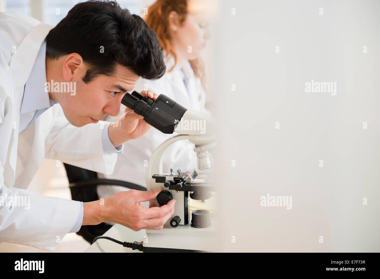 Scientist using microscope in lab Banque D'Images