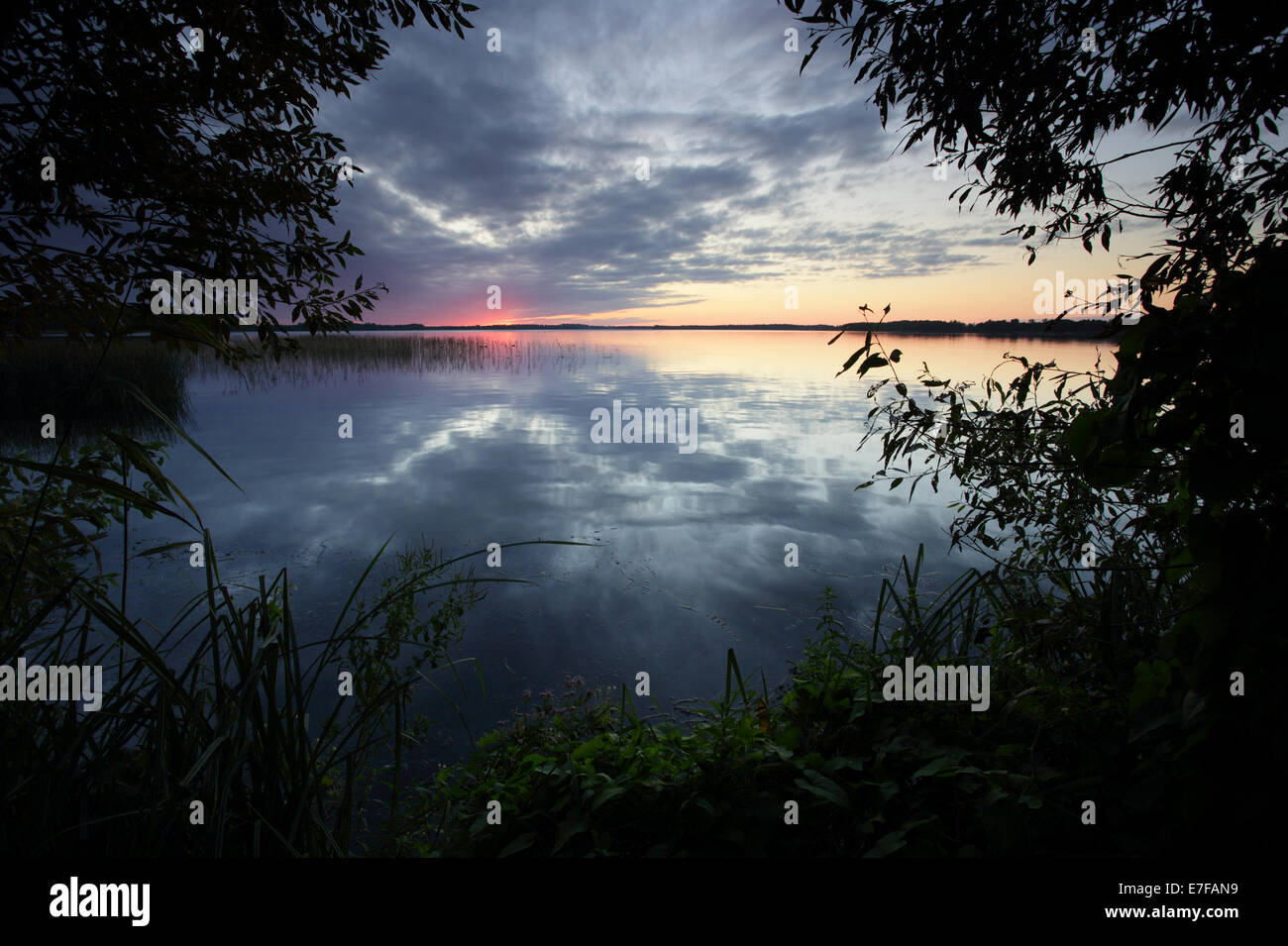 Saadjärv Lac au coucher du soleil. L'Estonie, Europe Banque D'Images