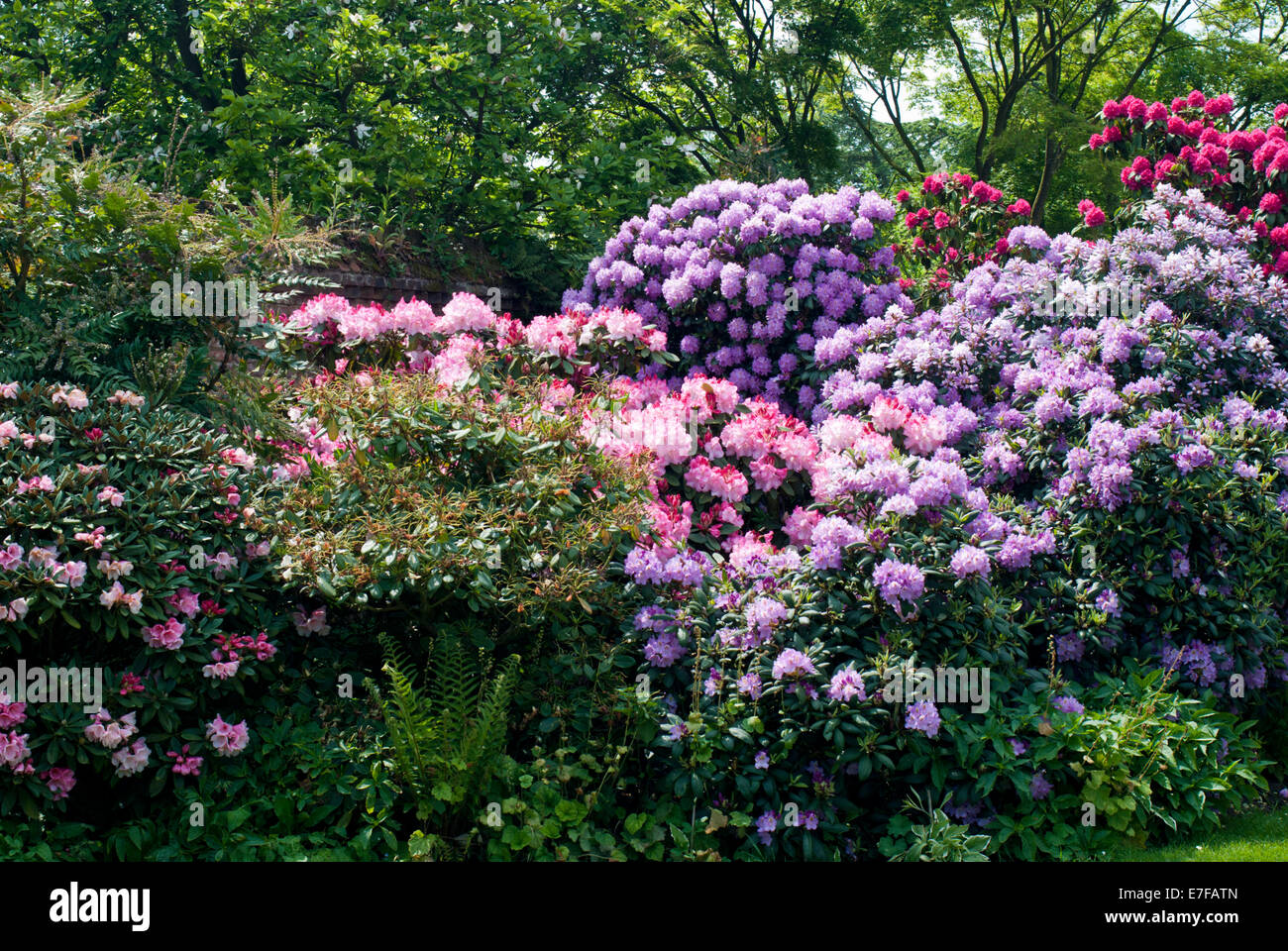 Jardin informel Banque D'Images