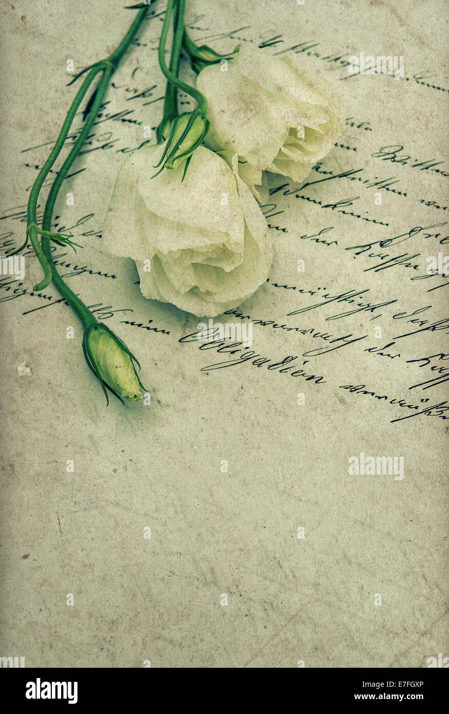 Manuscrite ancienne lettre d'amour avec des fleurs. arrière-plan sentimental nostalgique. retro toned photo Banque D'Images