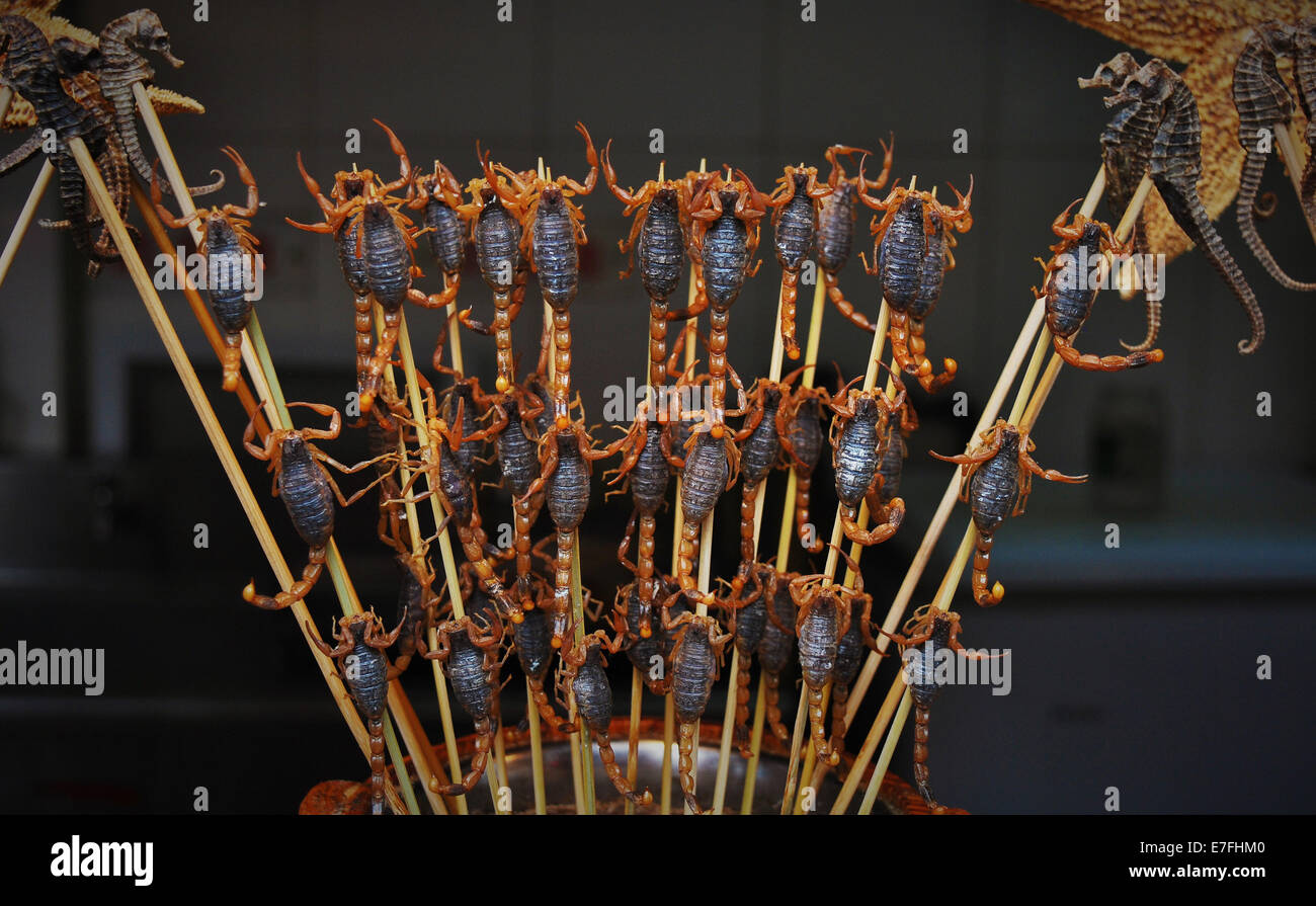 Scorpions cuit et les hippocampes, Chine 2014 Banque D'Images