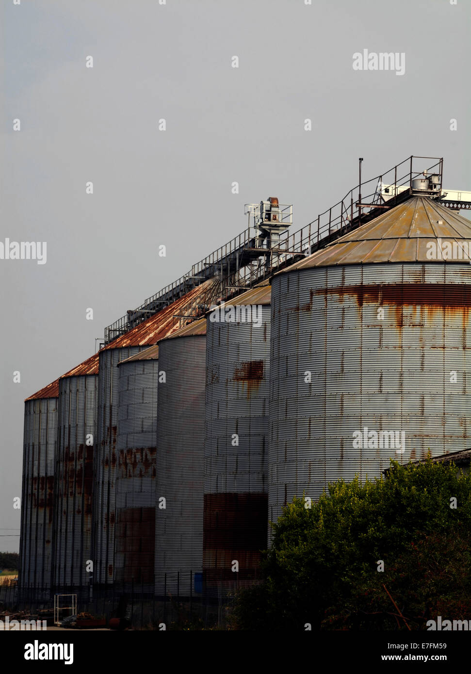 Une rangée de silos à grain géant avec portiques ci-dessus. Partie d'une usine de traitement et de stockage des grains. Banque D'Images