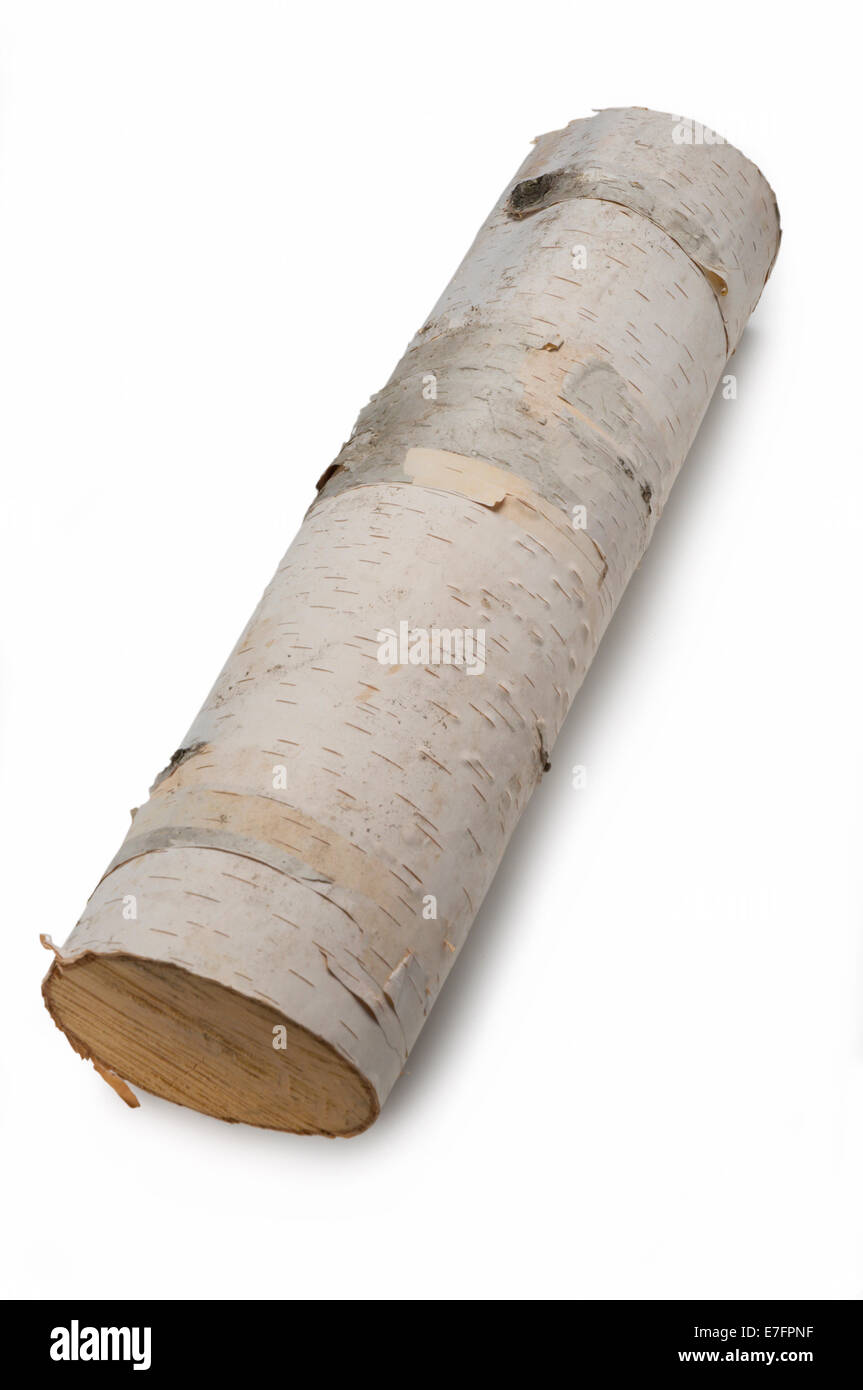 Journal d’arbre bouleau Banque D'Images