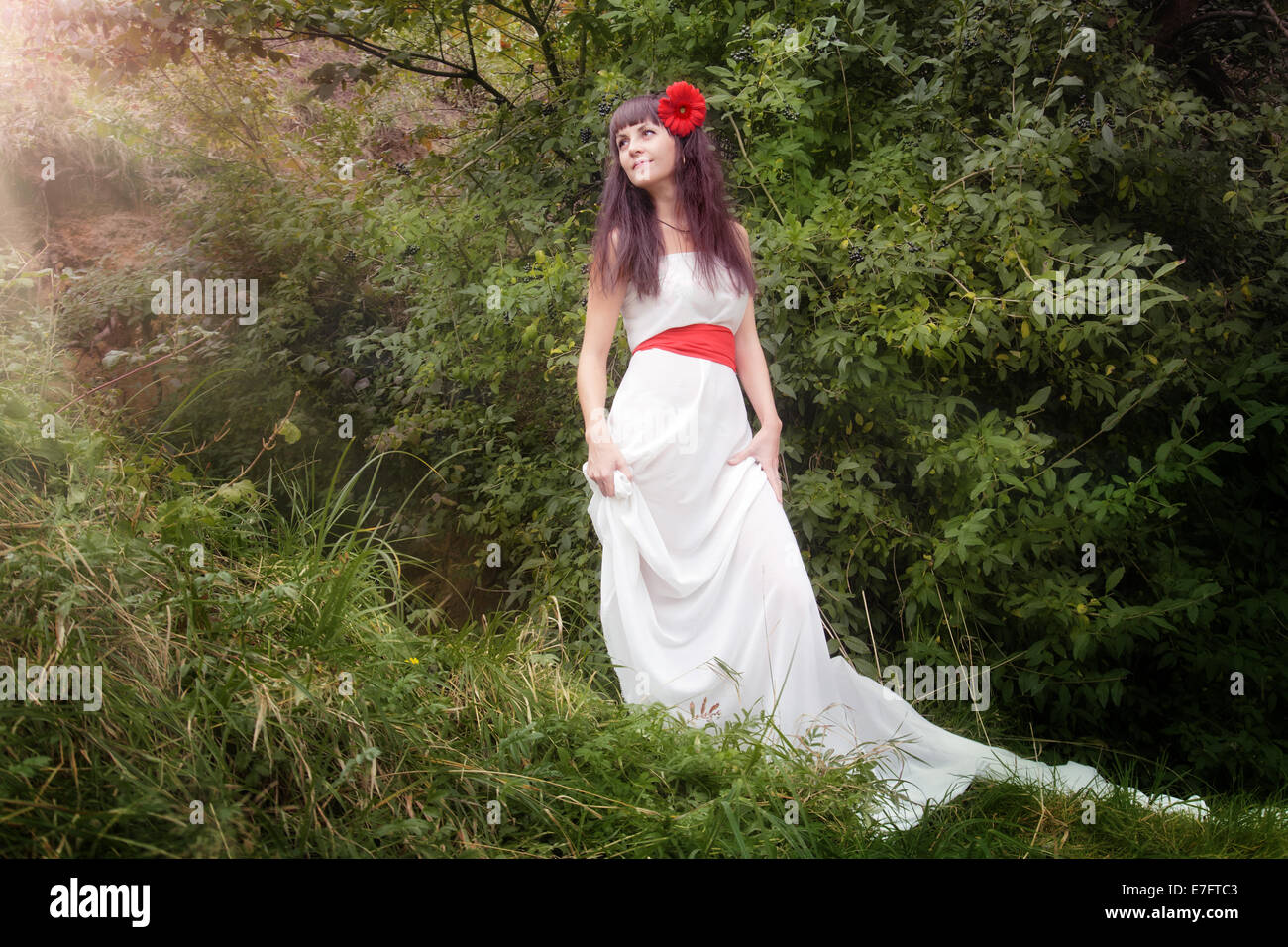 Portrait de la belle jeune femme en robe blanche sur la nature Banque D'Images