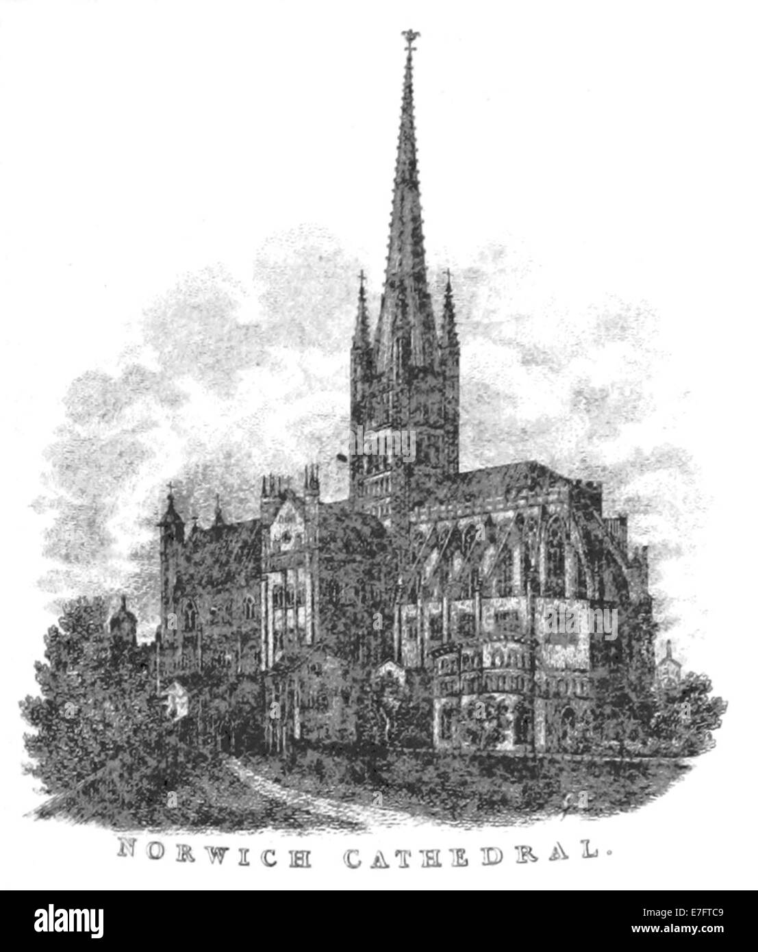 Une illustration de Pigot and Co (1842), représentant la cathédrale de Norwich. L’image montre l’architecture de la cathédrale et son rôle prépondérant dans le paysage urbain au XIXe siècle. Banque D'Images