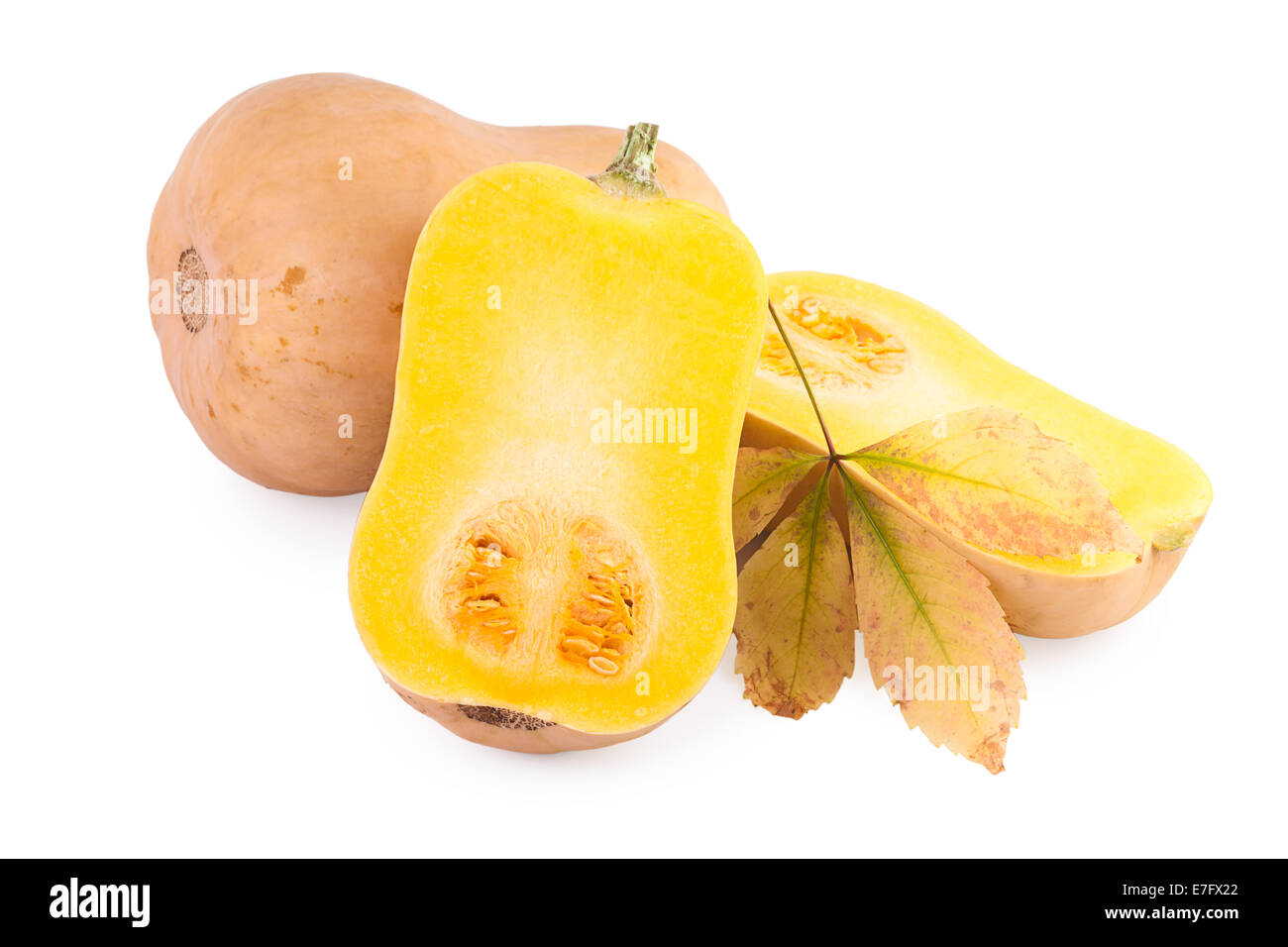 Potiron butternut avec feuille d'automne sur fond blanc Banque D'Images