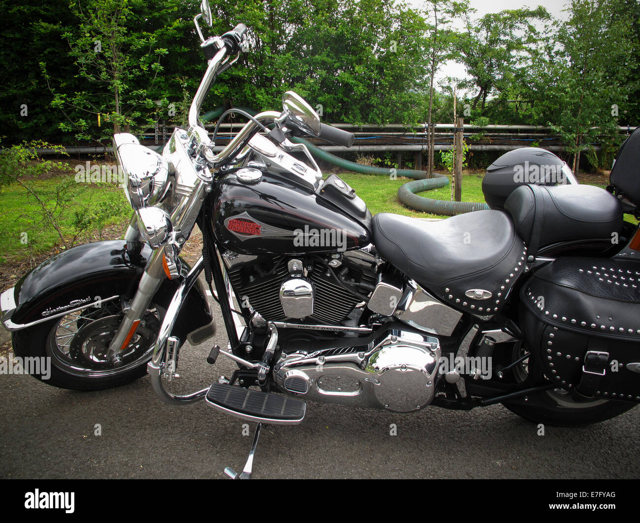 Black harley davidson Banque de photographies et d’images à haute ...