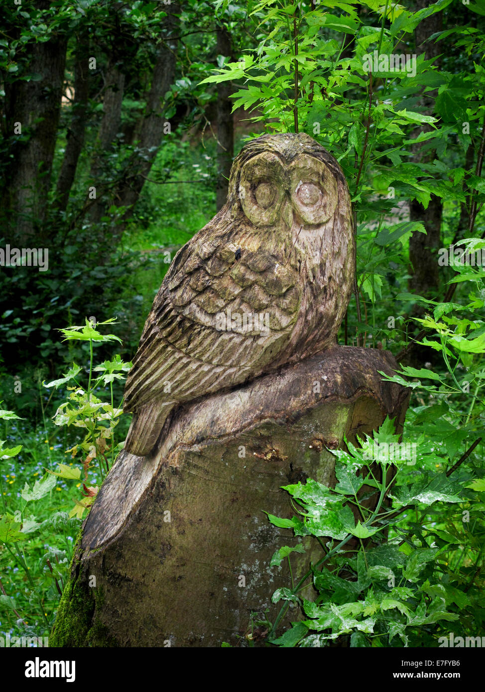 Sculpture à la tronçonneuse d'owl sur souche d'arbre Banque D'Images