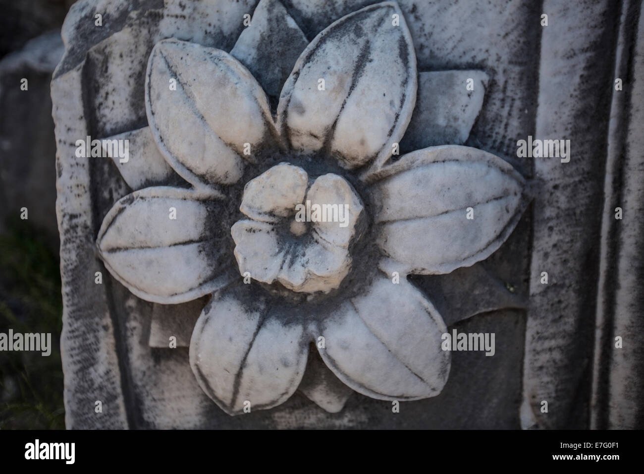Détail d'une fleur sculptée dans les ruines romaines à Rome, Italie Banque D'Images