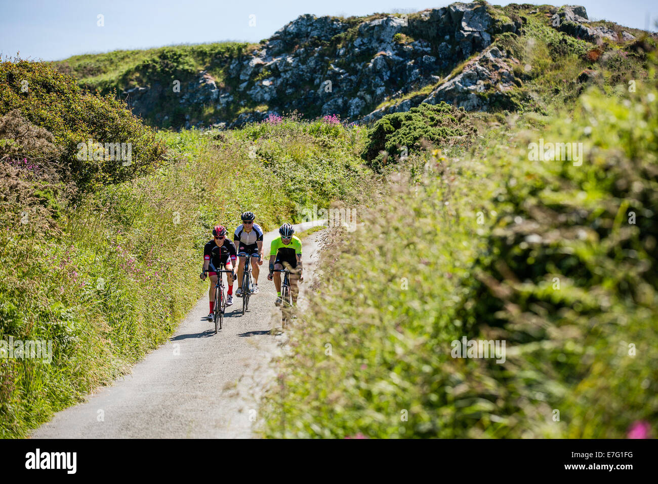 Trois cyclistes roulent le long d'un chemin à travers la campagne de Pembrokeshire, Pays de Galles Banque D'Images