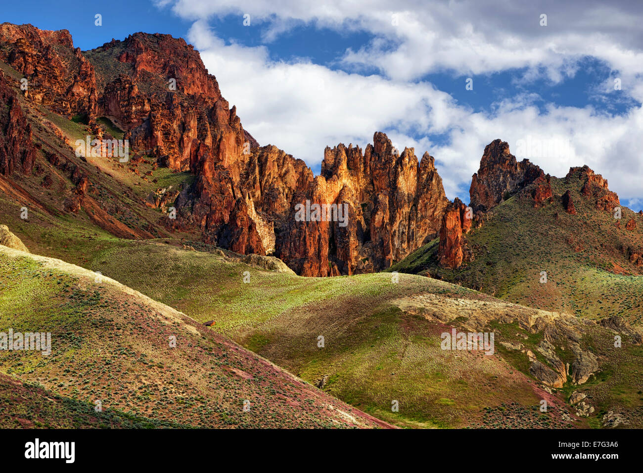 Les graminées brome printemps parmi les immenses des spries volcanique SE Oregon's Leslie Gulch Canyon dans le comté de Malheur à distance. Banque D'Images