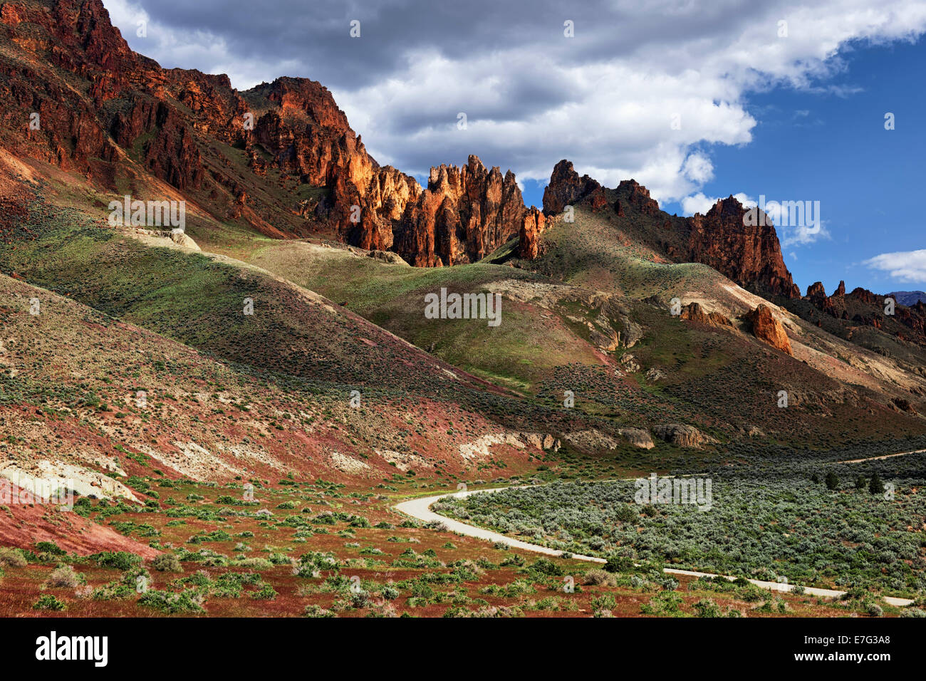 Les graminées brome de printemps le long de la Byway Leslie Gulch parmi les immenses flèches volcaniques en SE de l'Oregon's remote Malhuer Comté. Banque D'Images