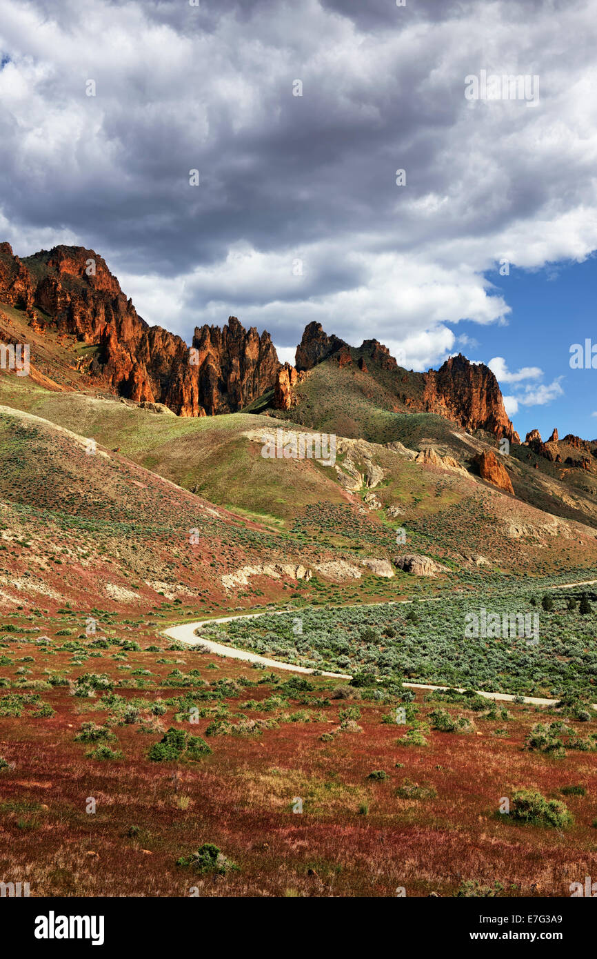 Les graminées brome de printemps le long de la Byway Leslie Gulch parmi les immenses flèches volcaniques en SE de l'Oregon's remote Malhuer Comté. Banque D'Images