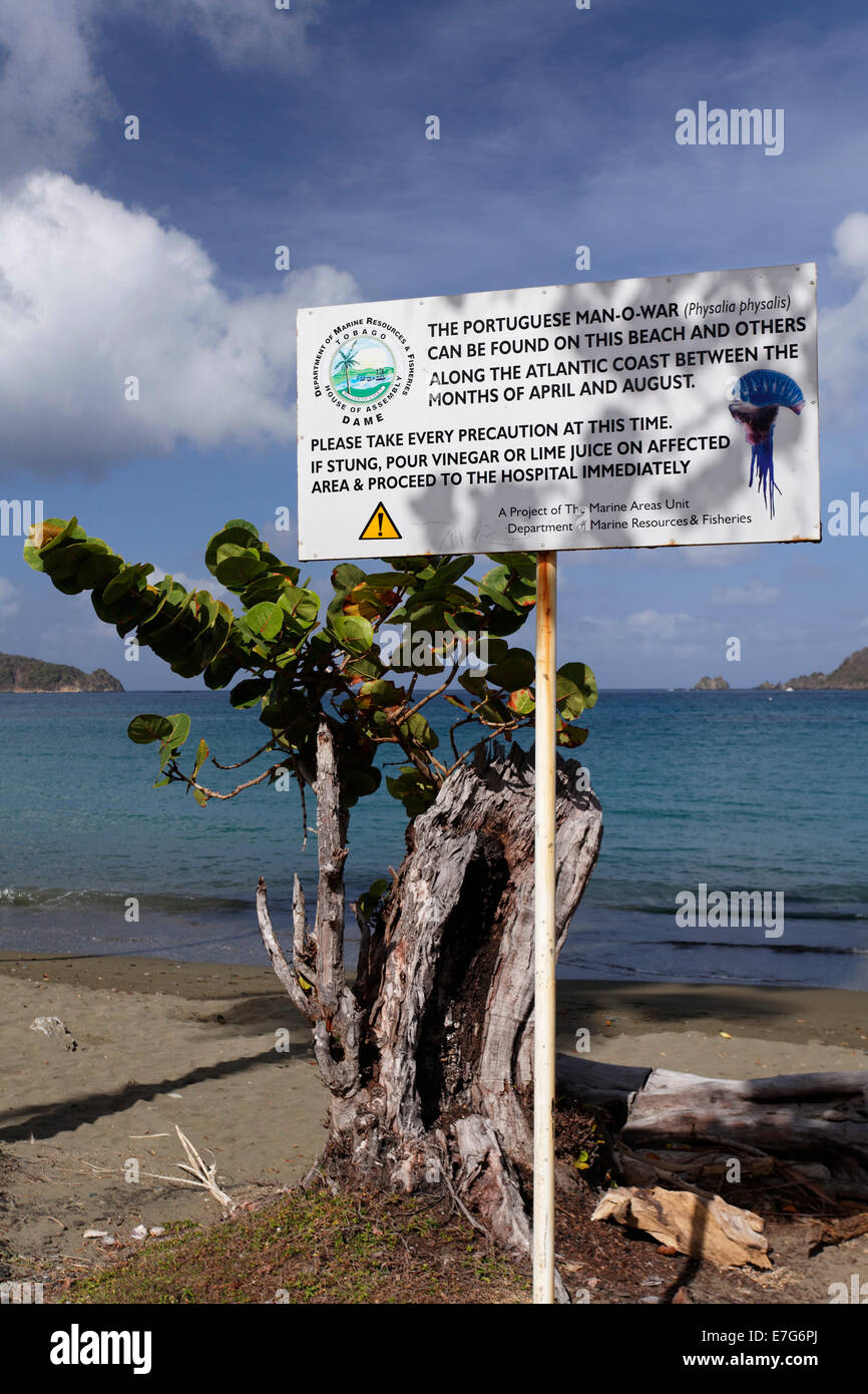 Panneau d'avertissement sur la plage, avertissement de Portuguese Man O'War (Physalia physalis), qui délivre une piqûre douloureuse, dans la mer Banque D'Images