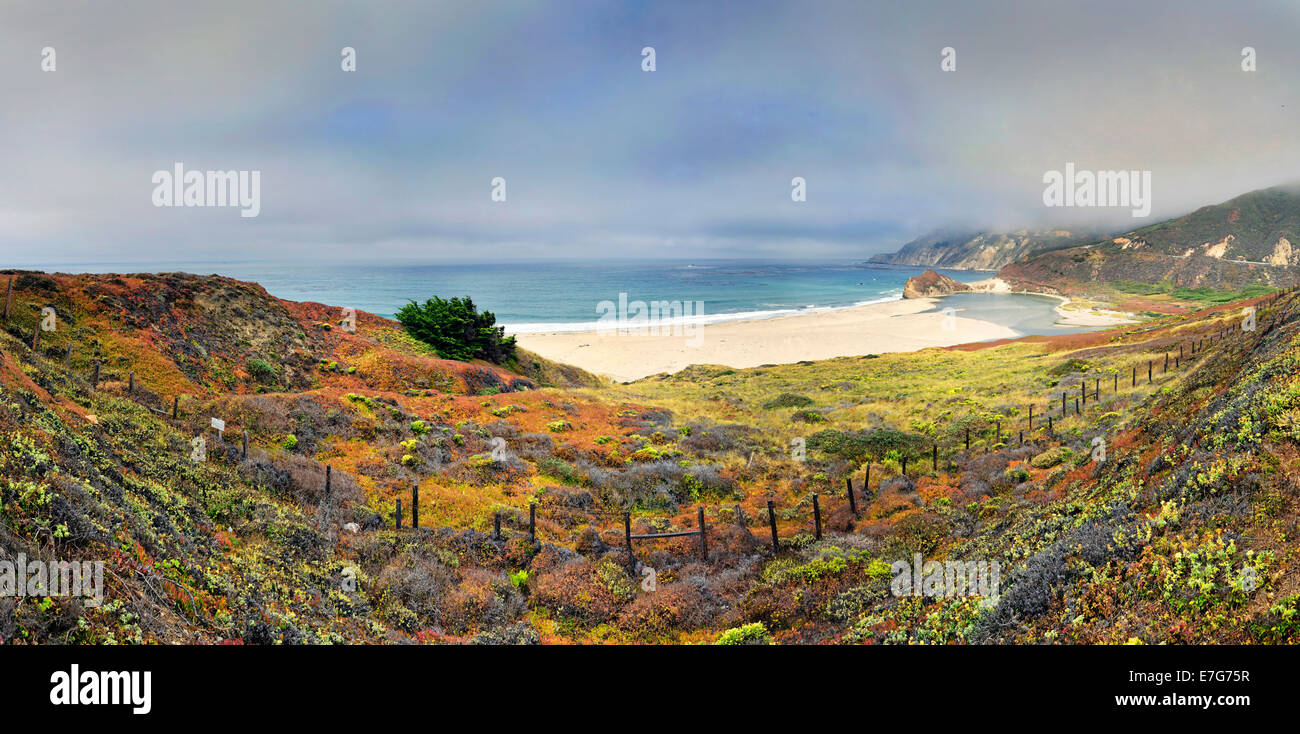 Plage de sable fin sur la côte Pacifique de la Californie, près de Point Sur, California, United States Banque D'Images