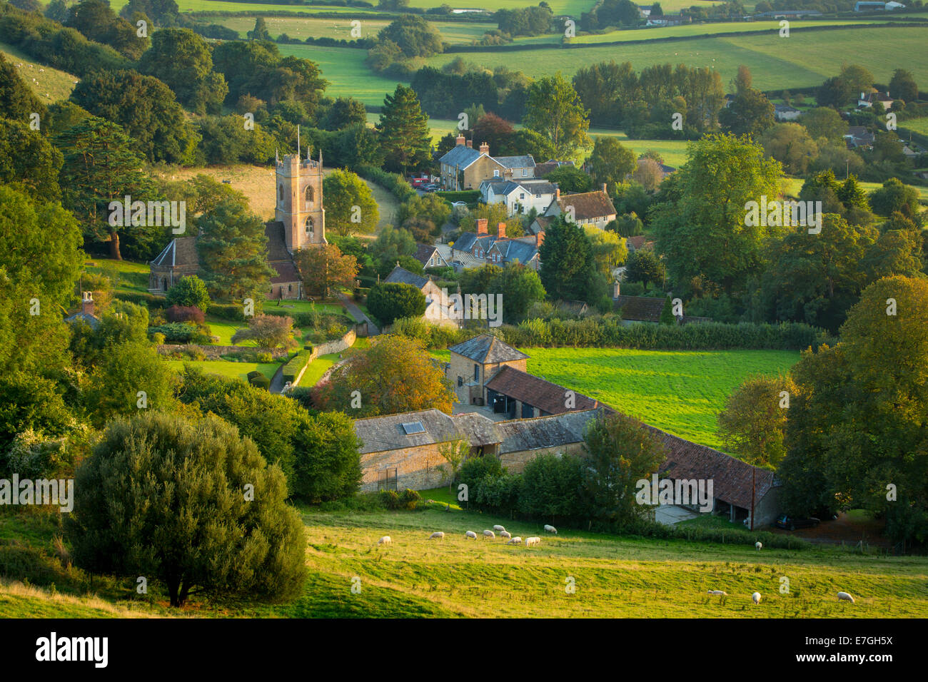 La lumière du soleil du soir sur Corton Denham, Somerset, Angleterre Banque D'Images