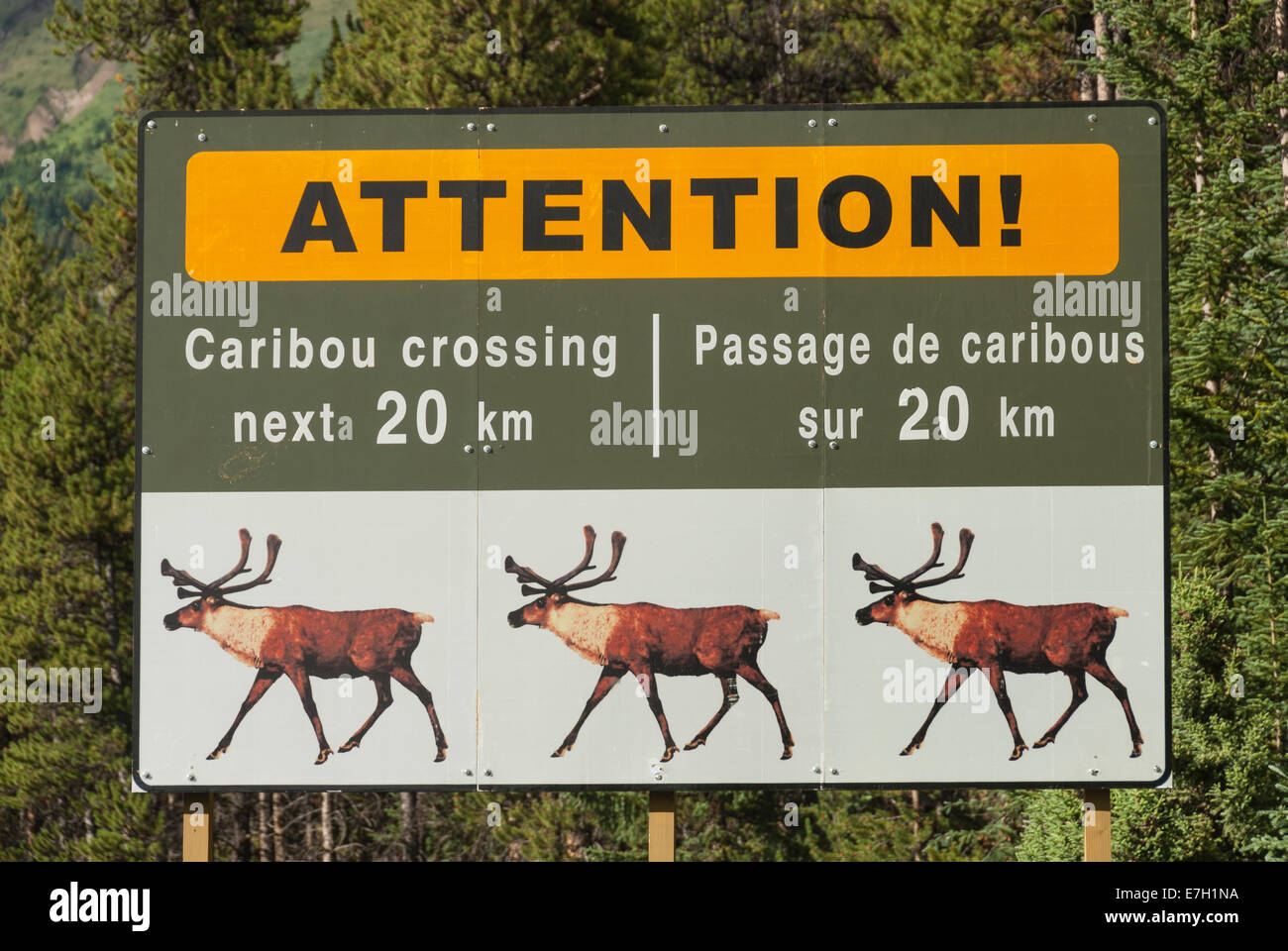 Caribou Warning Sign Canada Banque d'image et photos - Alamy