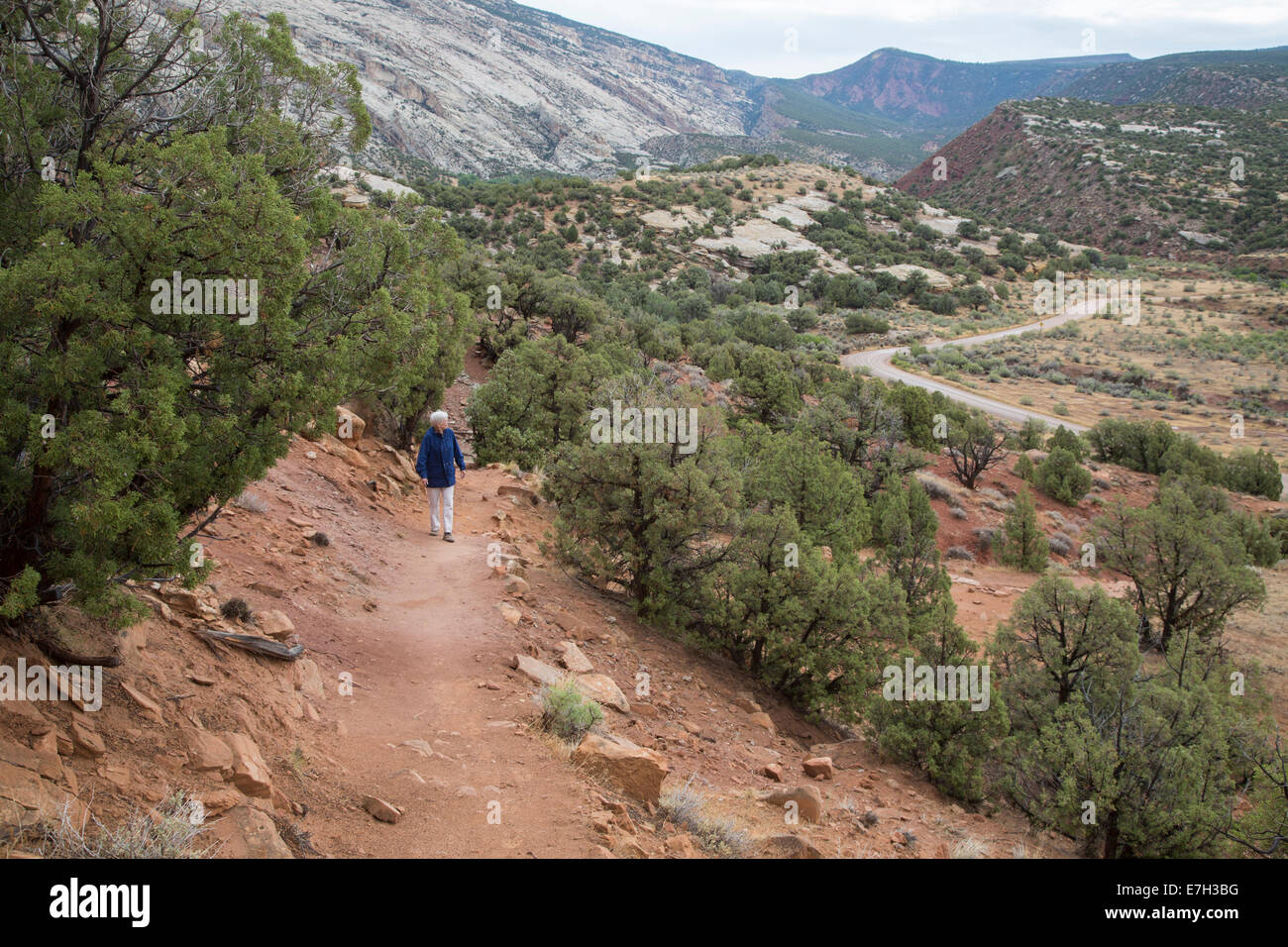 Jensen, Utah - Susan Newell, 65, randonnées dans Dinosaur National Monument. Banque D'Images