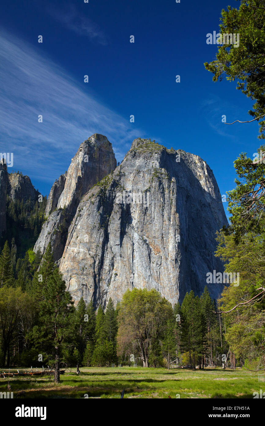 Les roches de la cathédrale et le cerf mulet (Odocoileus hemionus), Yosemite Valley, Yosemite National Park, California, USA Banque D'Images