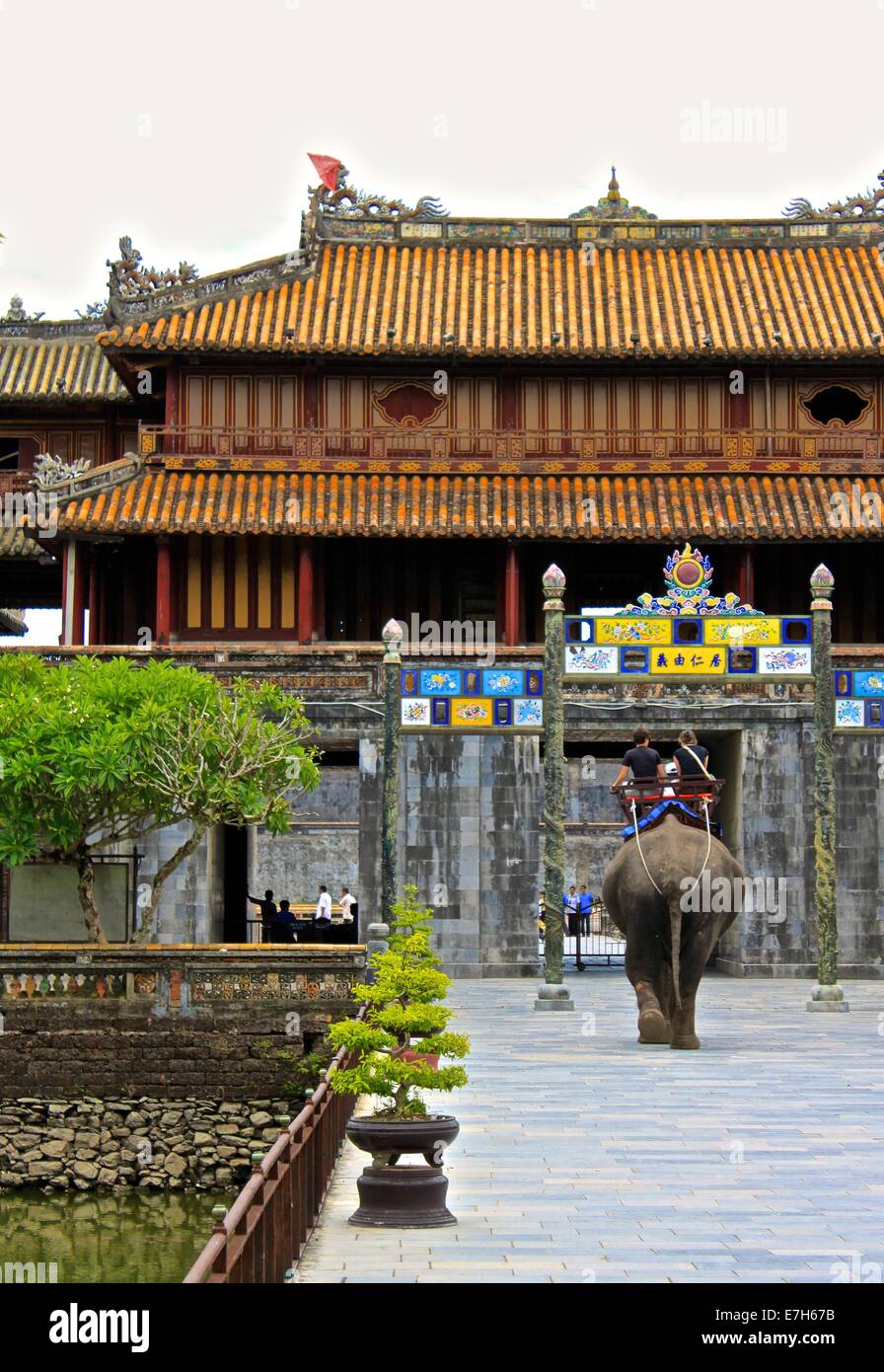 Un éléphant transporte les touristes autour de la ville impériale de Hue (La Citadelle), Vietnam Banque D'Images