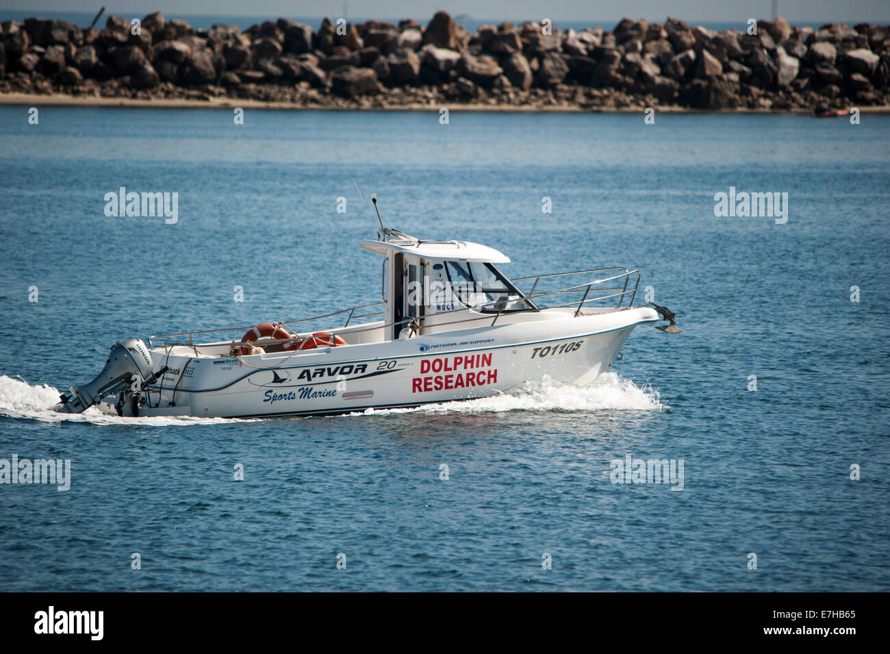 Un navire de recherche dolphin en Australie du Sud Banque D'Images