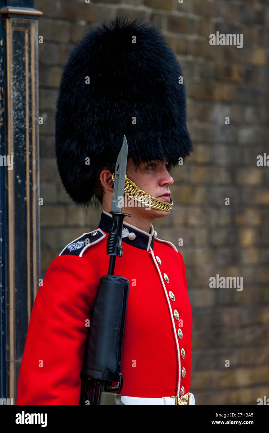 Palace Guard, Londres, Angleterre Banque D'Images