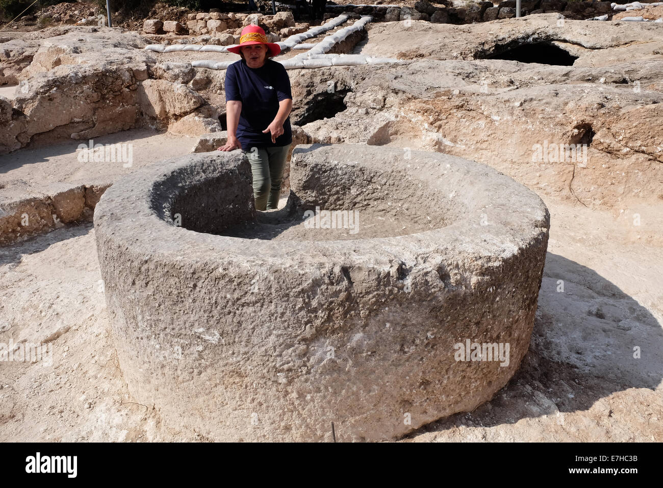 - Bet Shemesh, Israel . 18 Sep, 2014. Directeur d'excavation, IRENA ZILBERBOD, points d'une presse à huile en pierre massive de la découverte d'un nouveau monastère byzantin. L'Autorité des antiquités d'Israël, des archéologues ont découvert un grand, prospère, période Byzantine composé, qu'on croit être un monastère, avec une presse à huile et du vin qui donne à penser à l'échelle de l'agriculture, de mosaïques, de citernes souterraines et des quartiers d'habitation entourée d'un mur extérieur près de Ramat Bet Shemesh. Credit : Alon Nir/Alamy Live News Banque D'Images