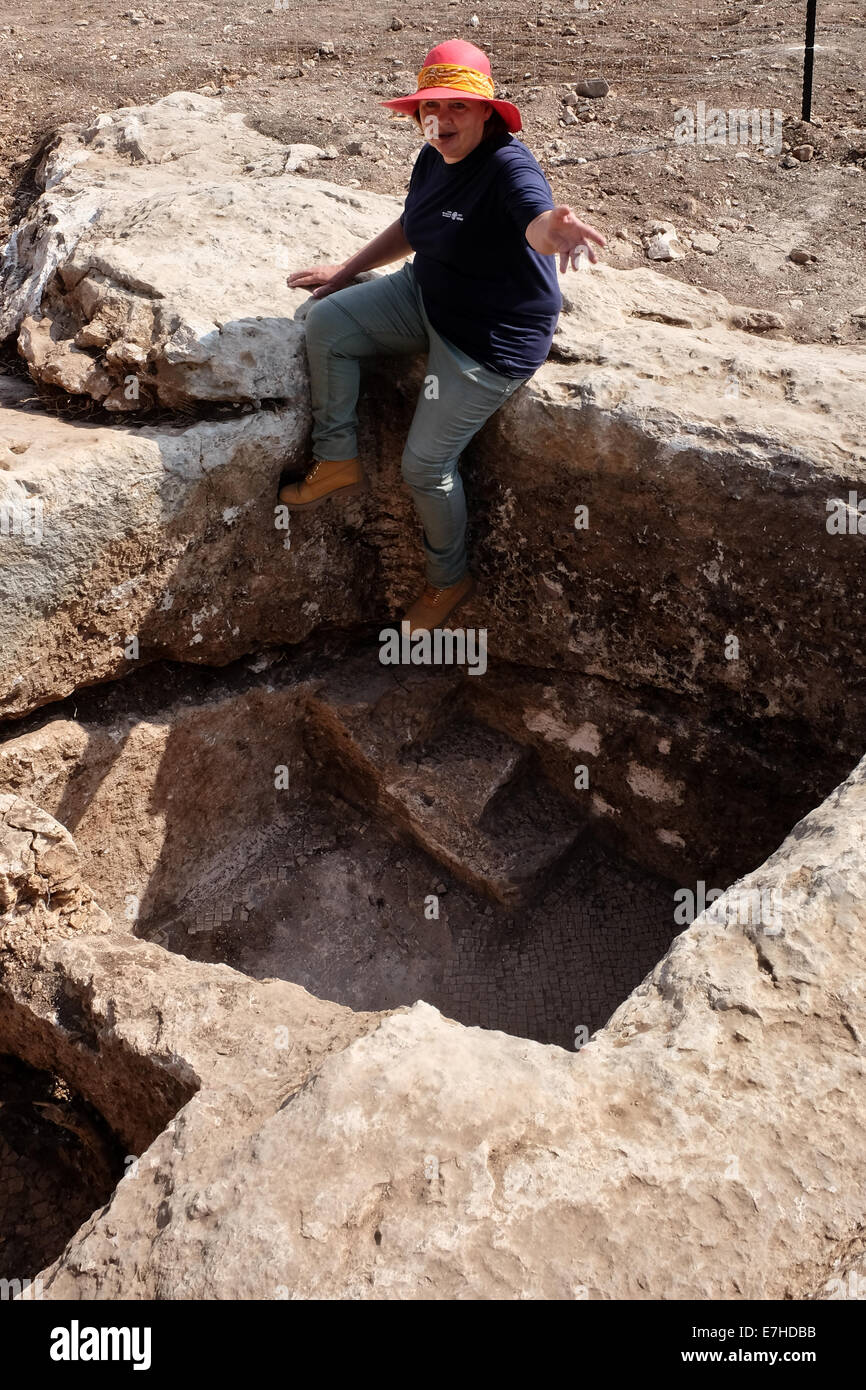 - Bet Shemesh, Israel . 18 Sep, 2014. Directeur d'excavation, IRENA, ZILBERBOD se trouve sur le bord d'une fosse de collecte à un pressoir en pierre à un monastère byzantin d'excavation. L'Autorité des antiquités d'Israël, des archéologues ont découvert un grand, prospère, période Byzantine composé, qu'on croit être un monastère, avec une presse à huile et du vin qui donne à penser à l'échelle de l'agriculture, de mosaïques, de citernes souterraines et des quartiers d'habitation entourée d'un mur extérieur près de Ramat Bet Shemesh. Credit : Alon Nir/Alamy Live News Banque D'Images